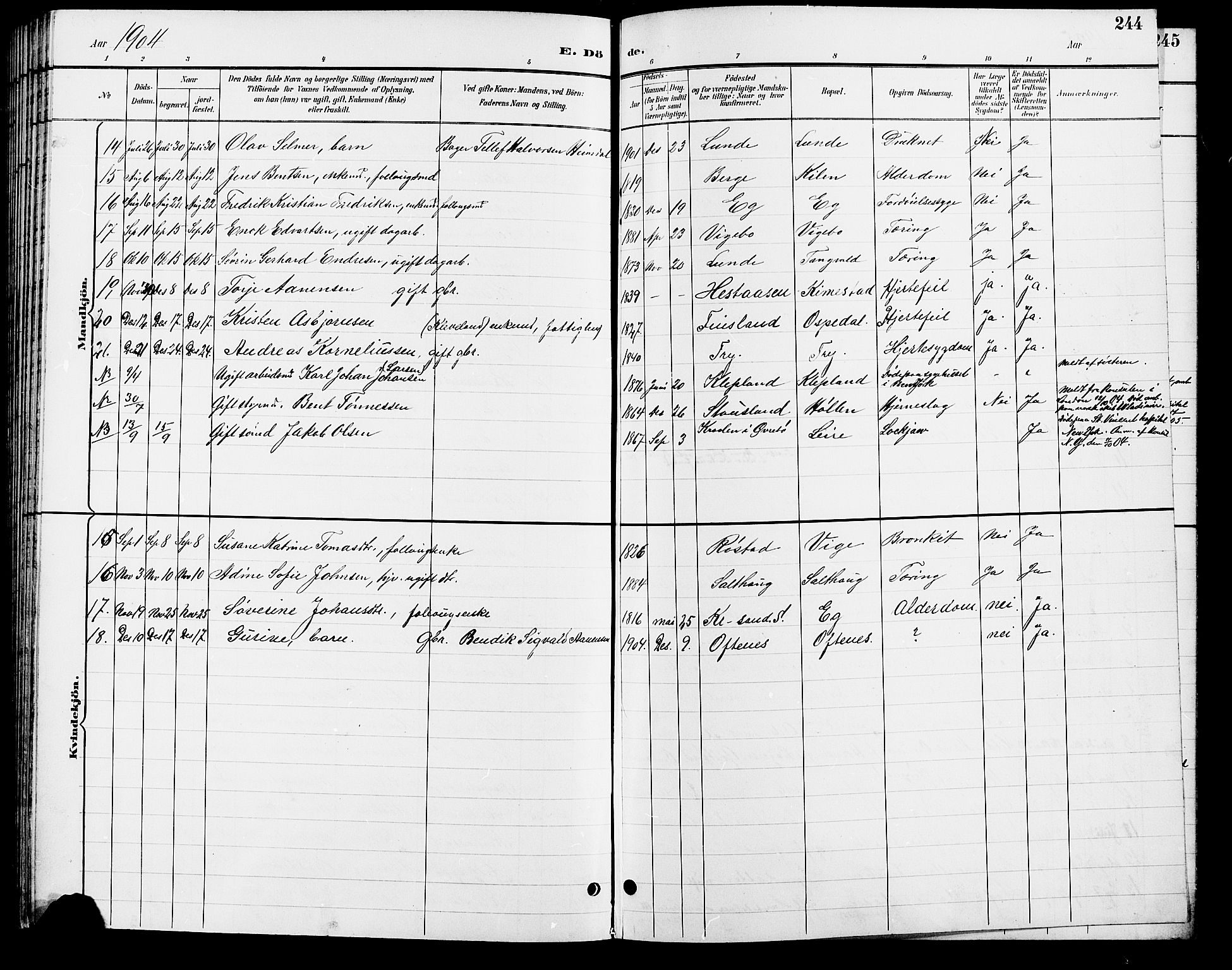 Søgne sokneprestkontor, AV/SAK-1111-0037/F/Fb/Fbb/L0006: Parish register (copy) no. B 6, 1892-1911, p. 244