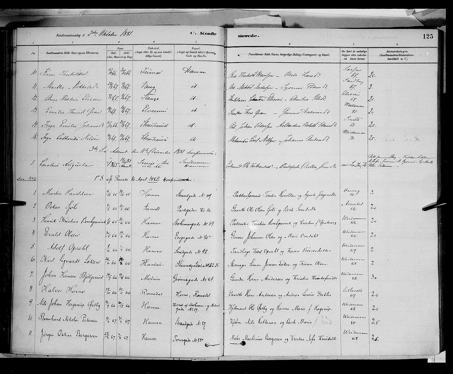 Vang prestekontor, Hedmark, SAH/PREST-008/H/Ha/Haa/L0016: Parish register (official) no. 16, 1878-1889, p. 125