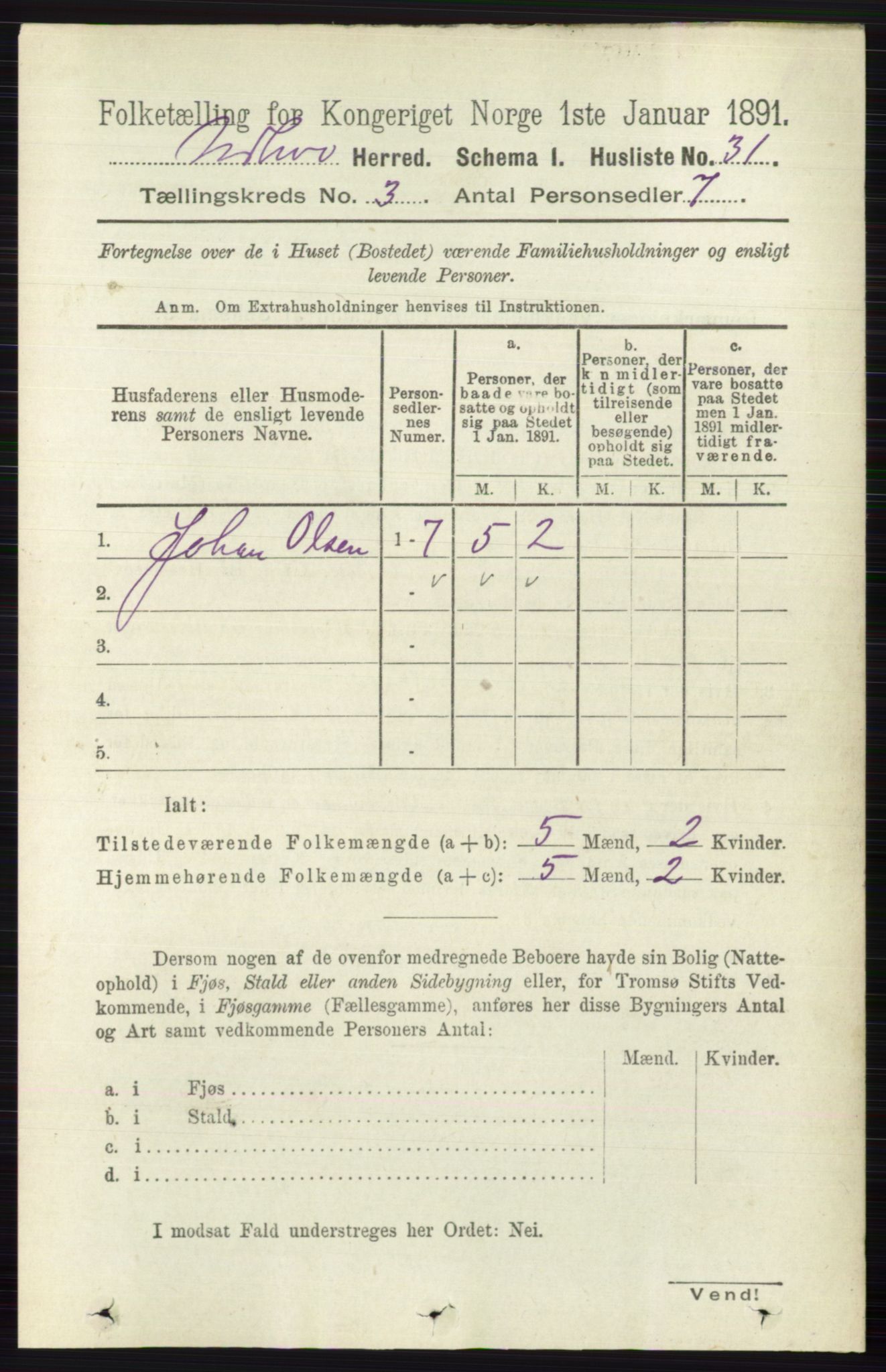 RA, 1891 census for 0613 Norderhov, 1891, p. 1191