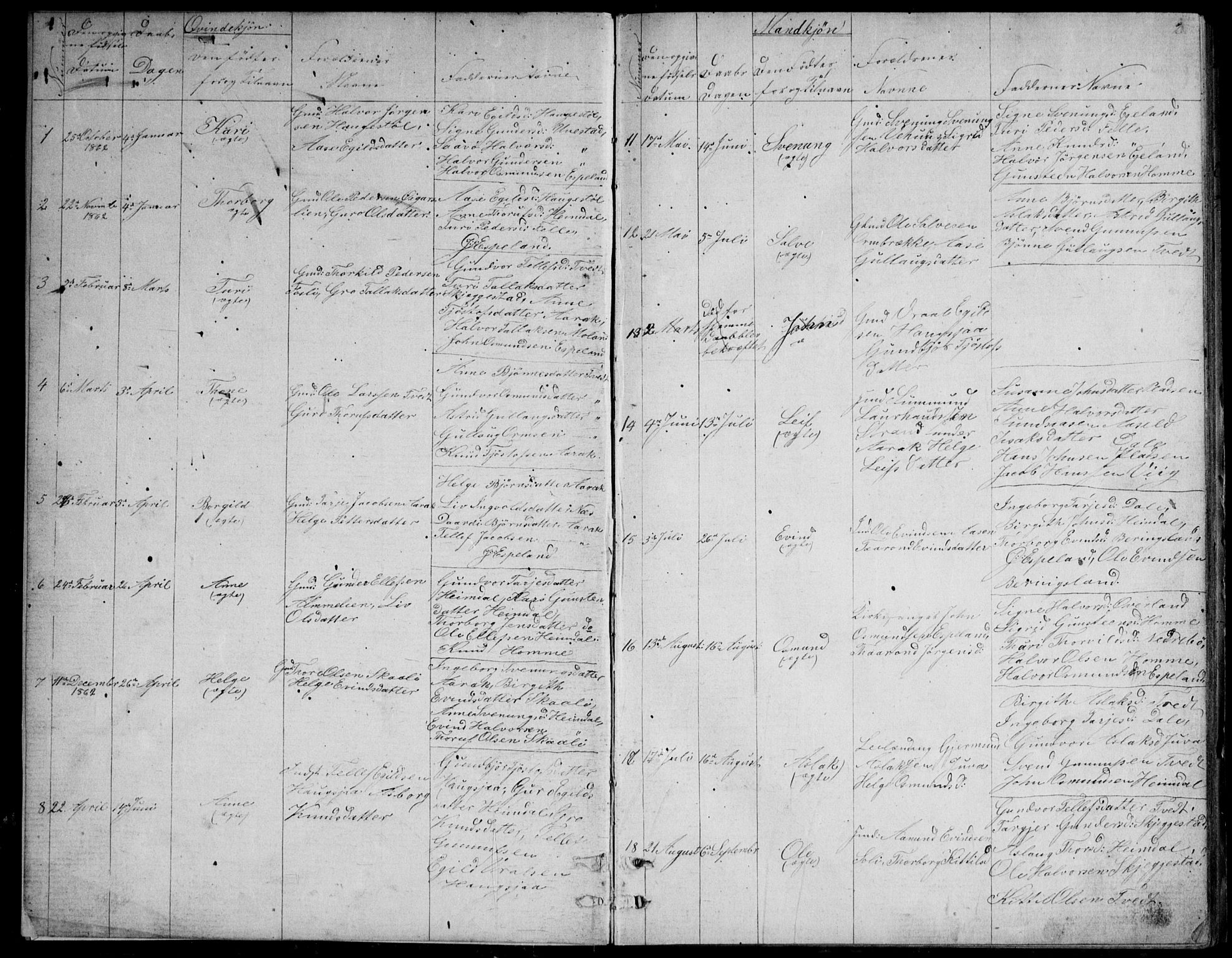 Nissedal kirkebøker, SAKO/A-288/G/Gb/L0002: Parish register (copy) no. II 2, 1863-1892, p. 2
