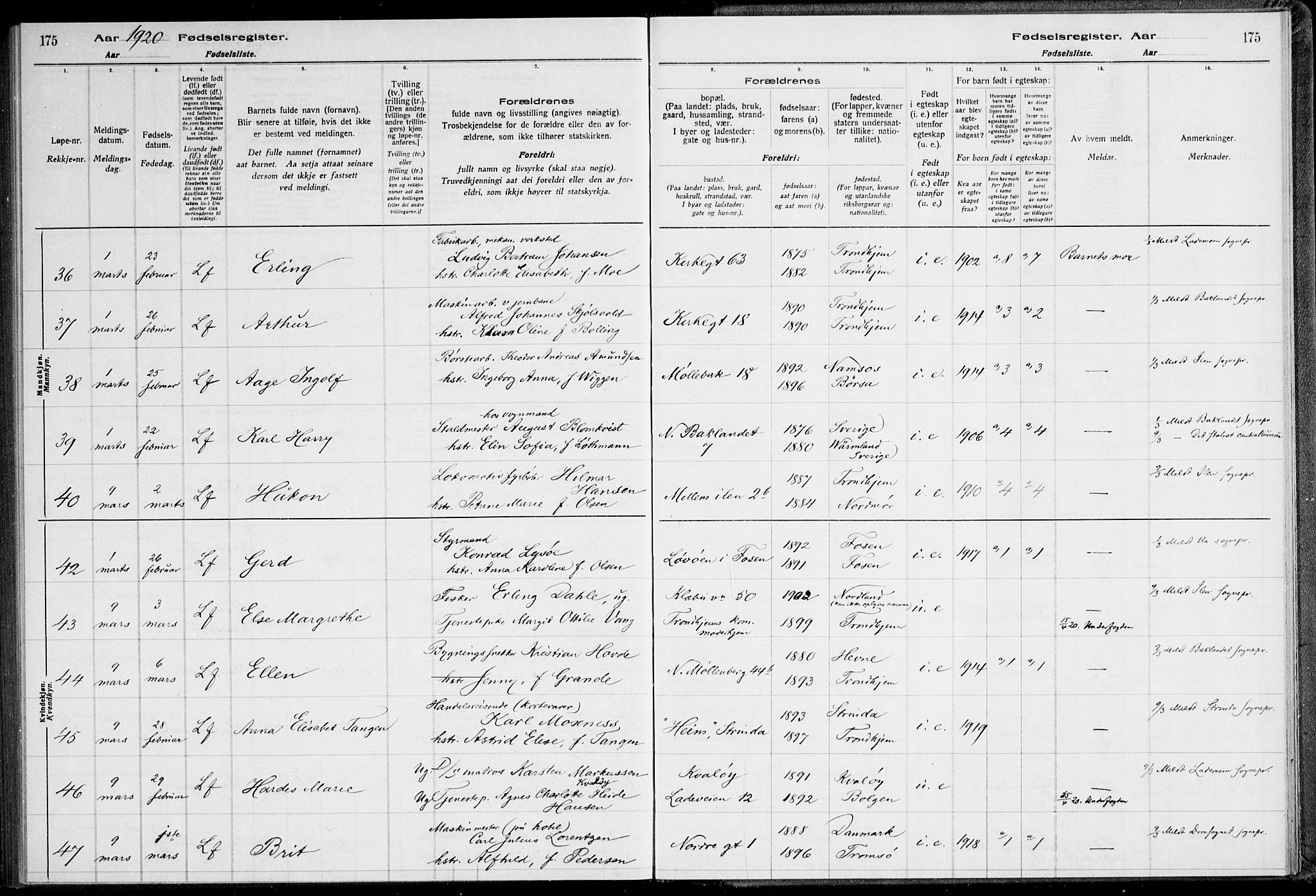 Ministerialprotokoller, klokkerbøker og fødselsregistre - Sør-Trøndelag, SAT/A-1456/600/L0002: Birth register no. 600.II.4.1, 1916-1920, p. 175