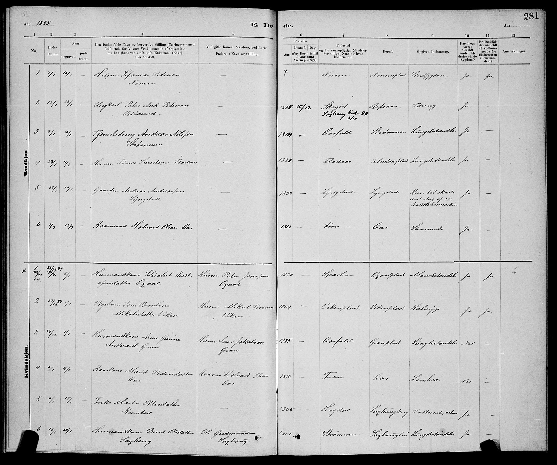 Ministerialprotokoller, klokkerbøker og fødselsregistre - Nord-Trøndelag, SAT/A-1458/730/L0301: Parish register (copy) no. 730C04, 1880-1897, p. 281
