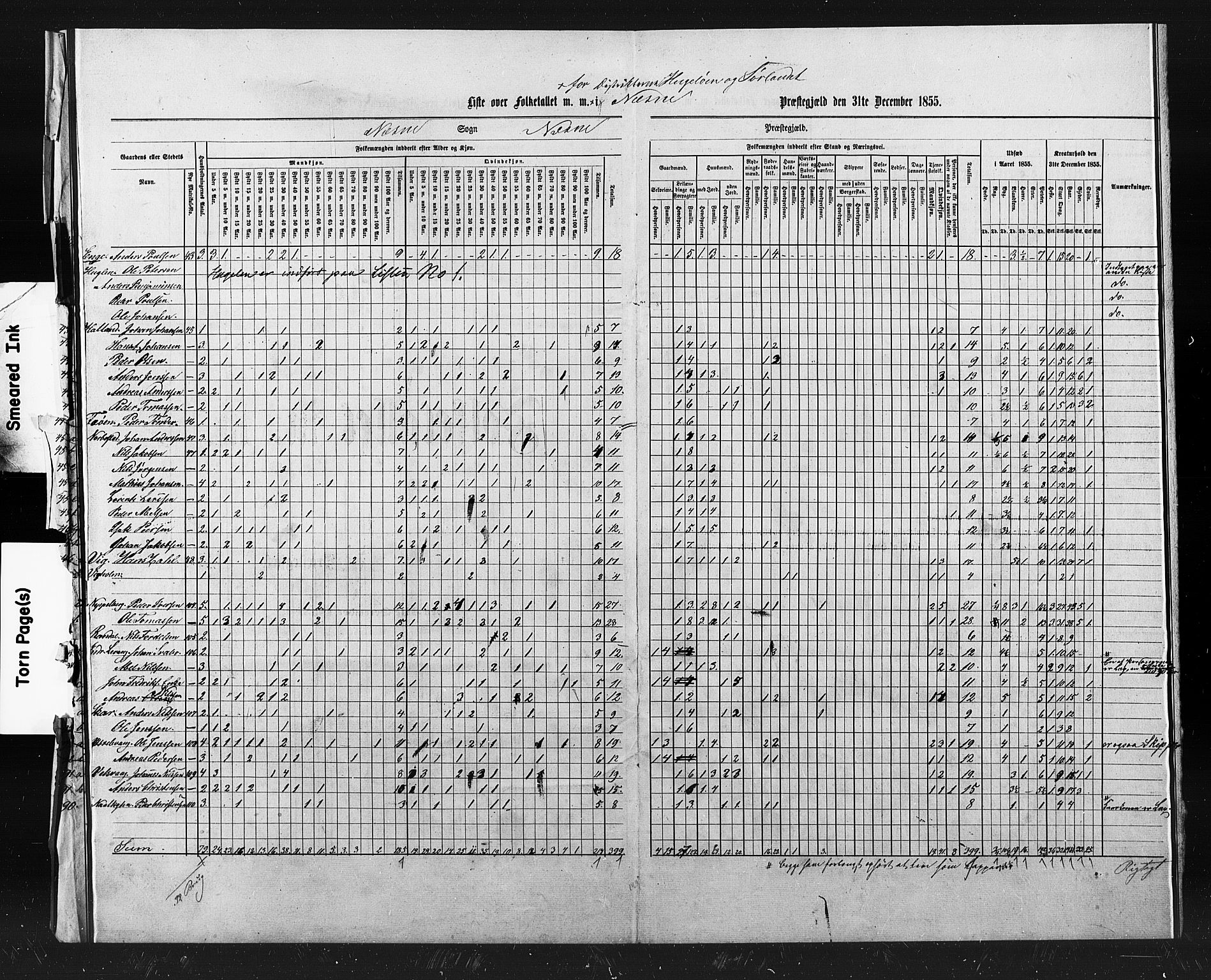 , Census 1855 for Nesna, 1855, p. 15