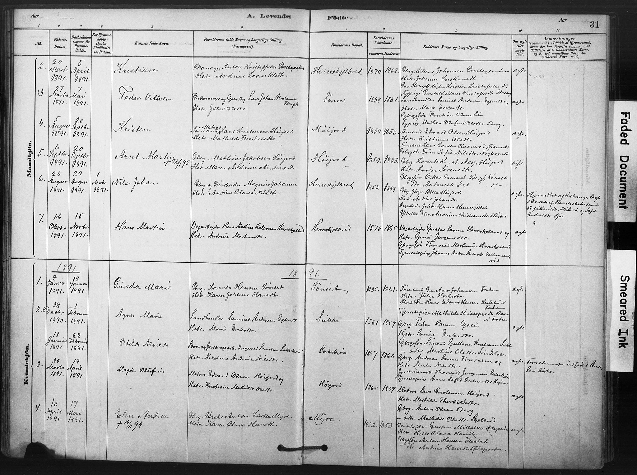 Andebu kirkebøker, AV/SAKO-A-336/F/Fa/L0009: Parish register (official) no. 9, 1878-1909, p. 31