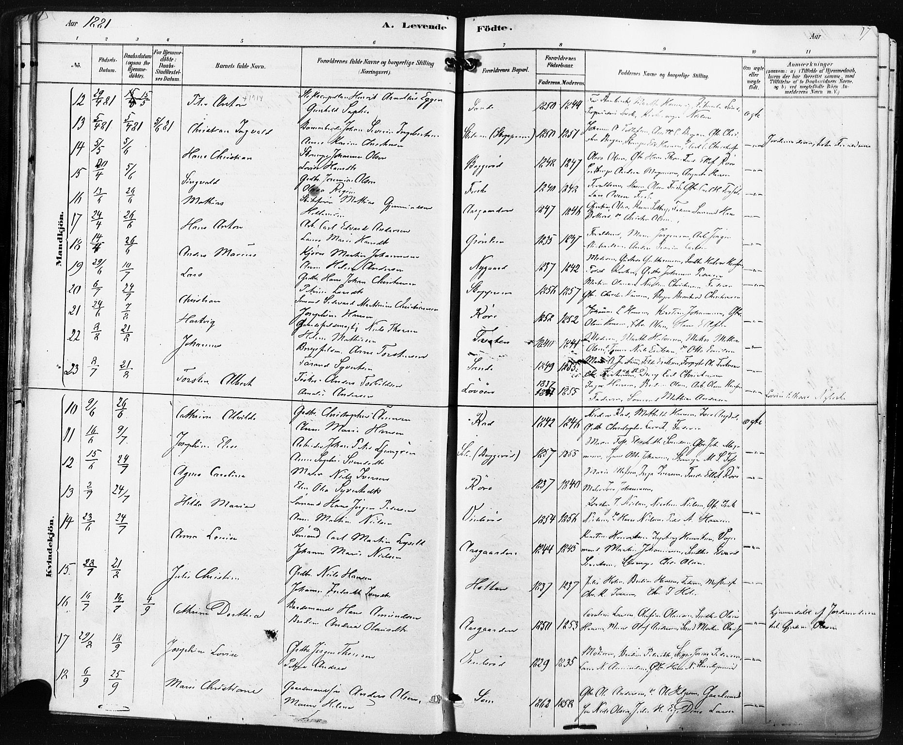 Borre kirkebøker, AV/SAKO-A-338/F/Fa/L0009: Parish register (official) no. I 9, 1878-1896, p. 17