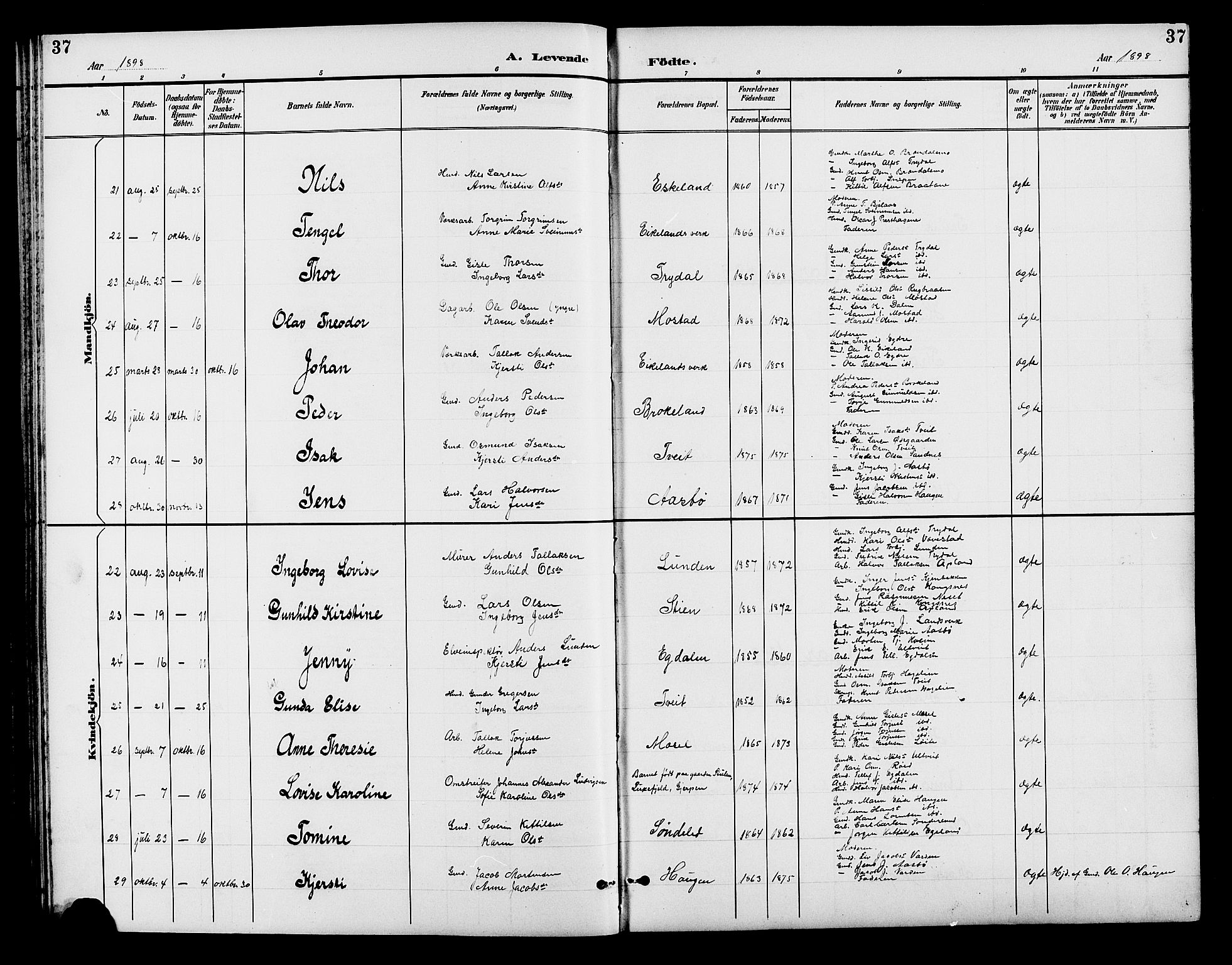 Gjerstad sokneprestkontor, AV/SAK-1111-0014/F/Fb/Fba/L0007: Parish register (copy) no. B 7, 1891-1908, p. 37