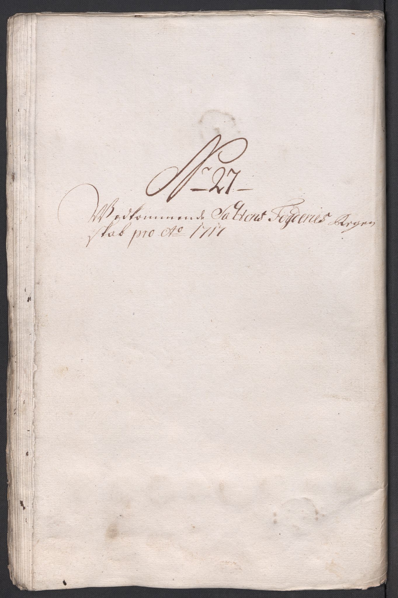 Rentekammeret inntil 1814, Reviderte regnskaper, Fogderegnskap, AV/RA-EA-4092/R66/L4587: Fogderegnskap Salten, 1717, p. 213