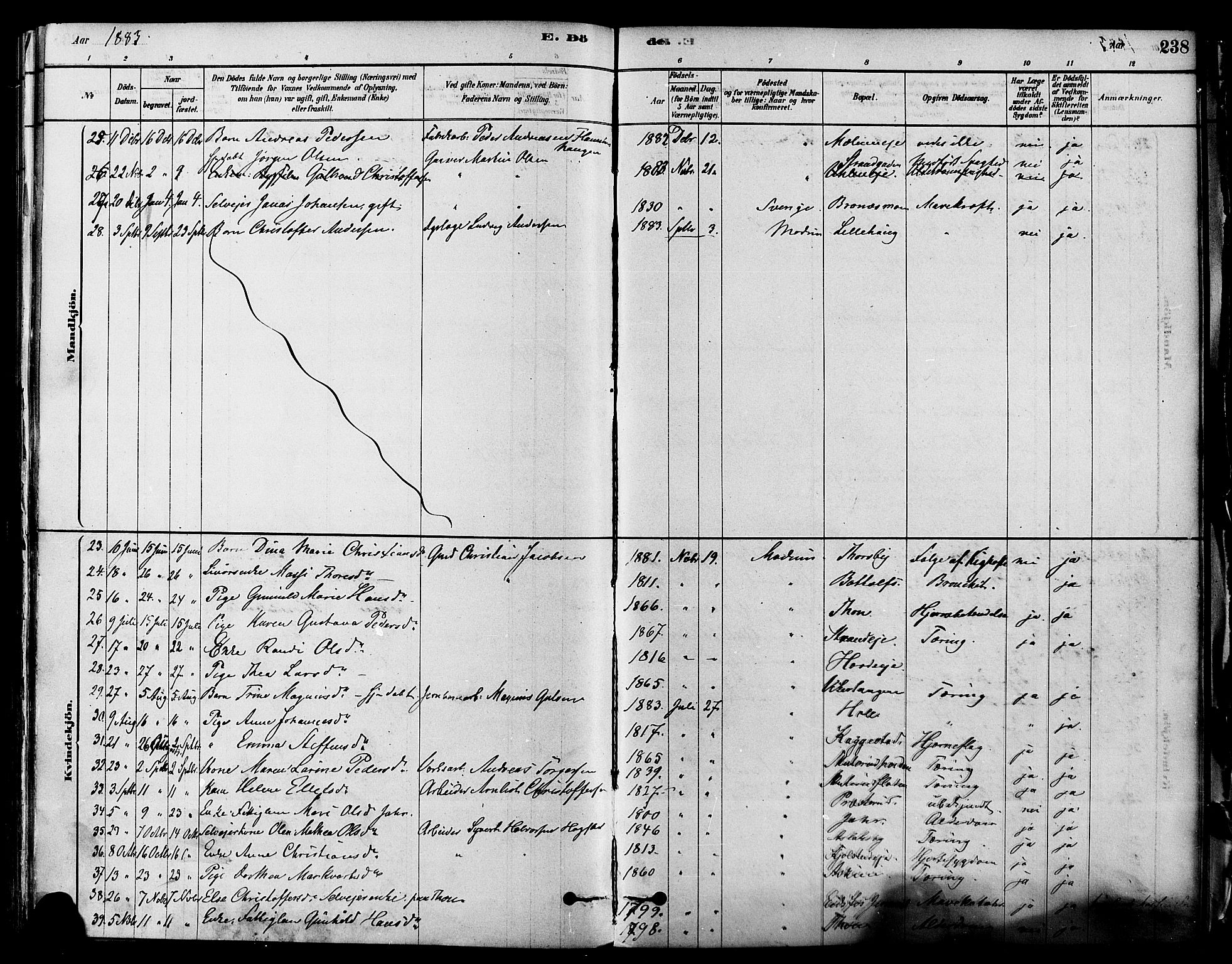 Modum kirkebøker, SAKO/A-234/F/Fa/L0011: Parish register (official) no. 11, 1877-1889, p. 238