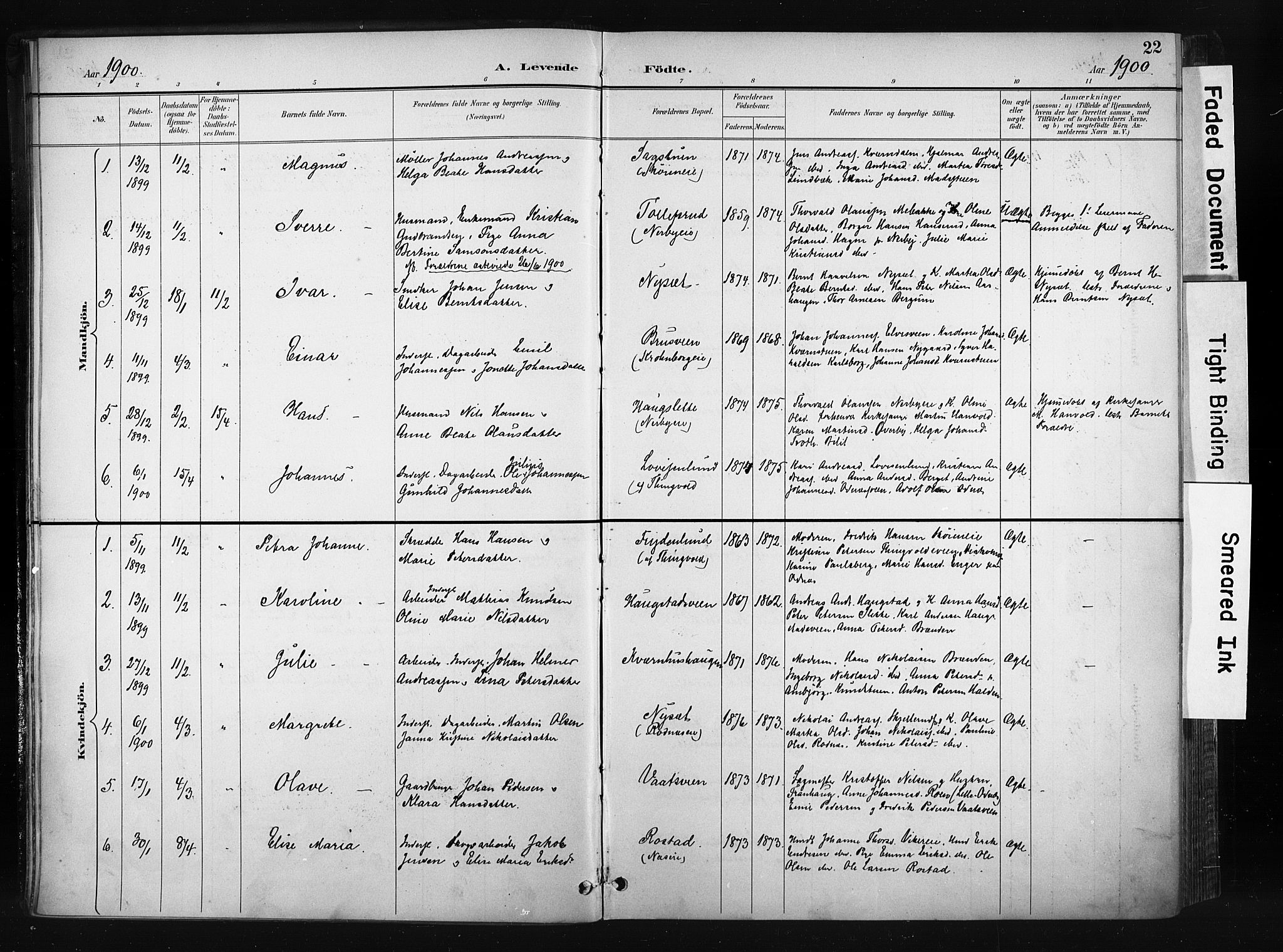 Søndre Land prestekontor, AV/SAH-PREST-122/K/L0004: Parish register (official) no. 4, 1895-1904, p. 22