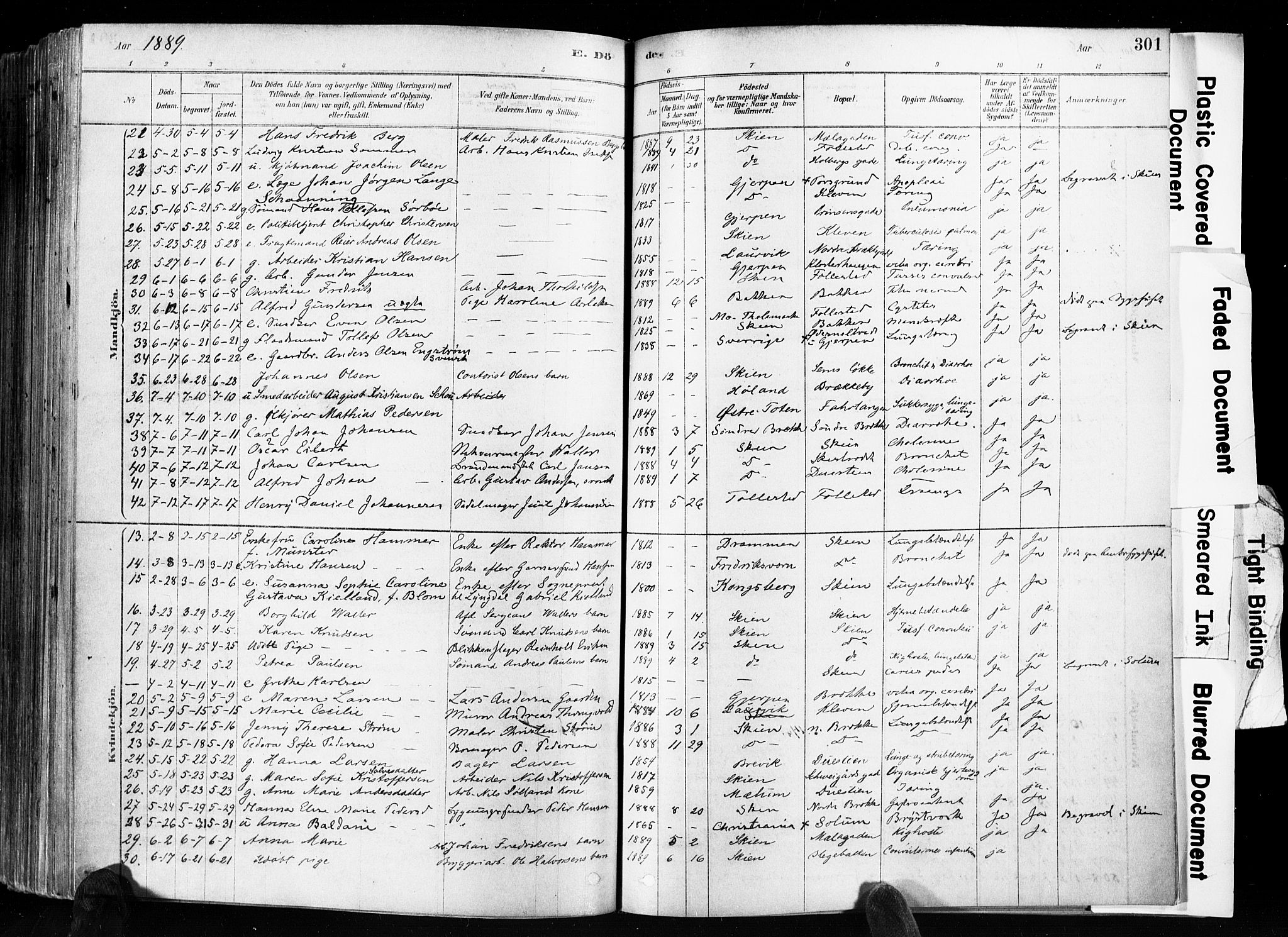 Skien kirkebøker, AV/SAKO-A-302/F/Fa/L0009: Parish register (official) no. 9, 1878-1890, p. 301