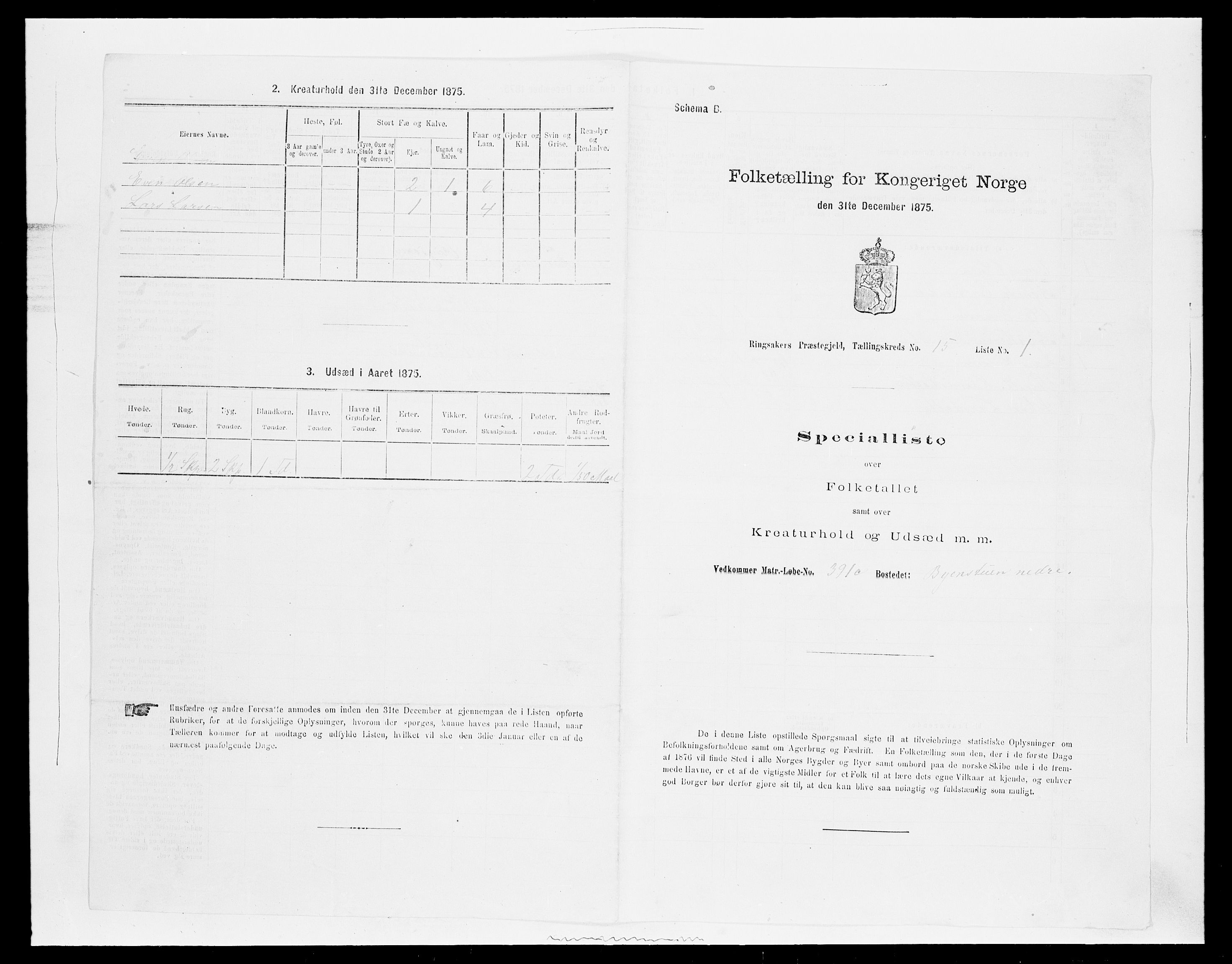 SAH, 1875 census for 0412P Ringsaker, 1875, p. 3032