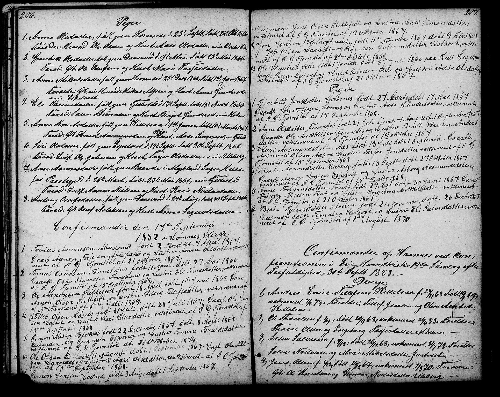 Evje sokneprestkontor, AV/SAK-1111-0008/F/Fb/Fbb/L0002: Parish register (copy) no. B 2, 1879-1909, p. 206-207