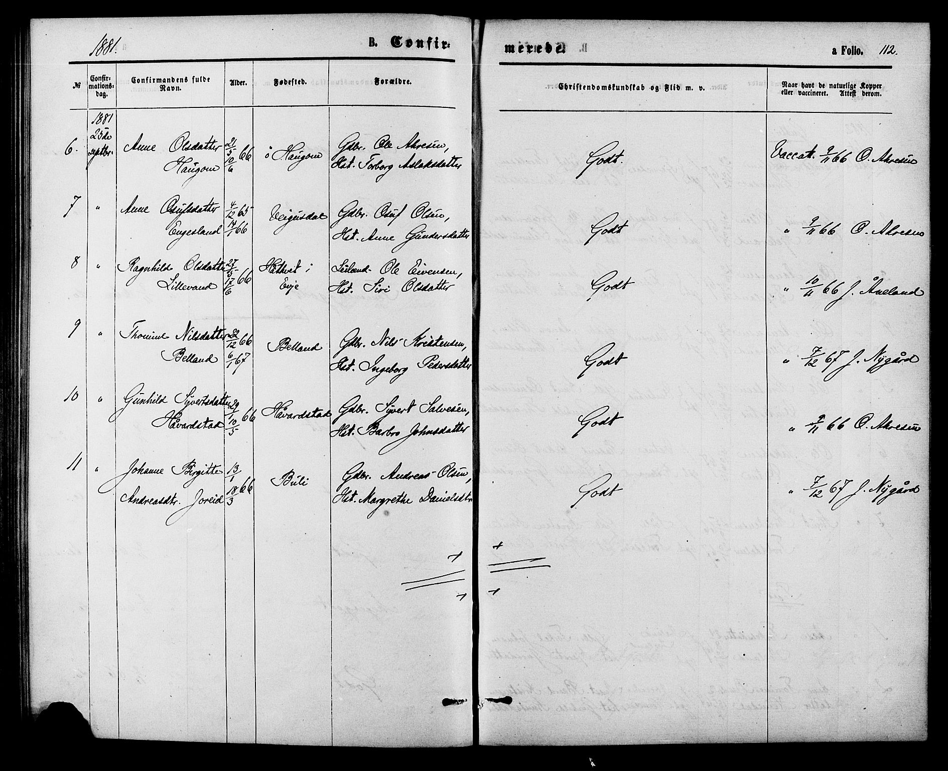 Herefoss sokneprestkontor, AV/SAK-1111-0019/F/Fa/Fab/L0003: Parish register (official) no. A 3, 1875-1886, p. 112