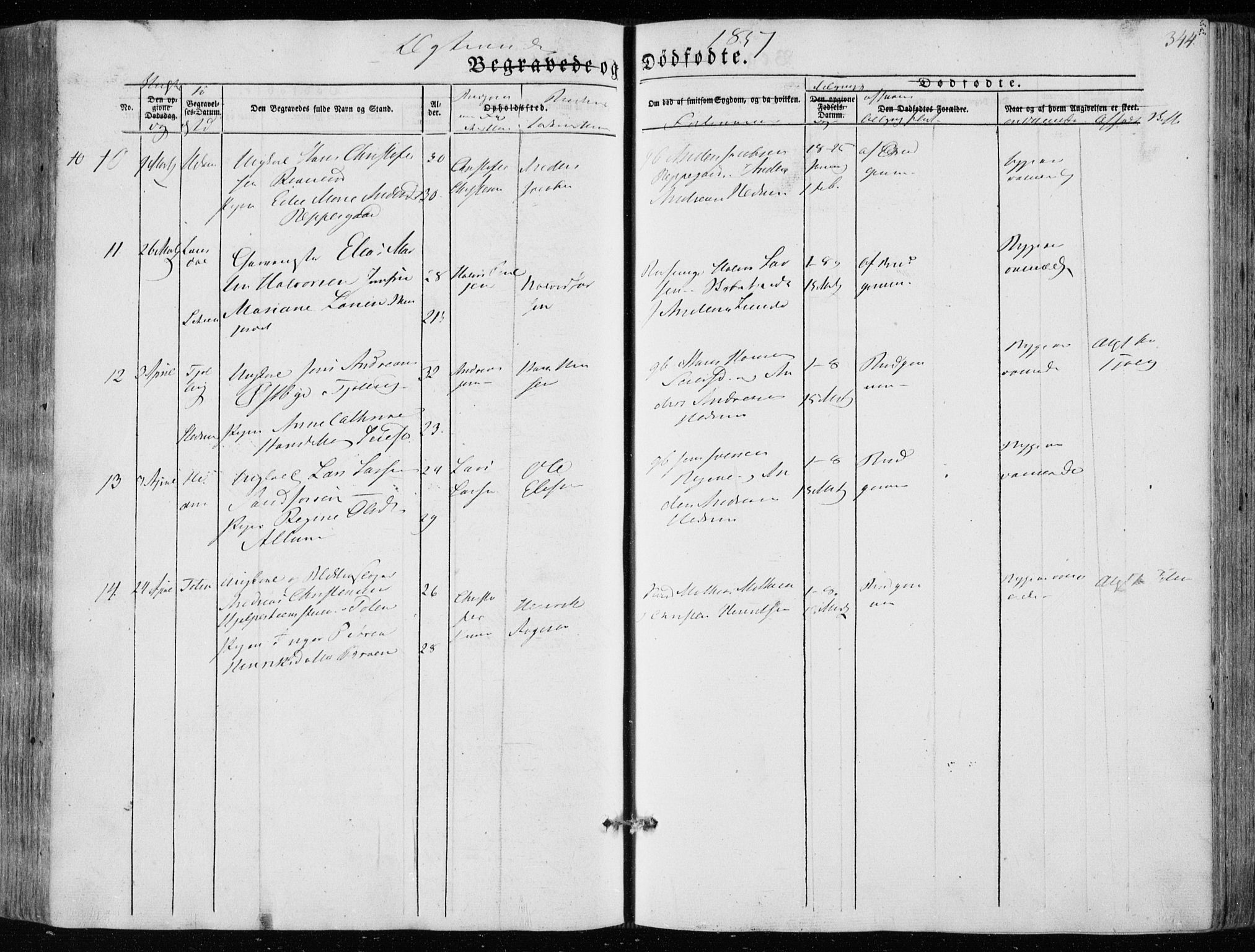 Hedrum kirkebøker, AV/SAKO-A-344/F/Fa/L0006: Parish register (official) no. I 6, 1849-1857, p. 344