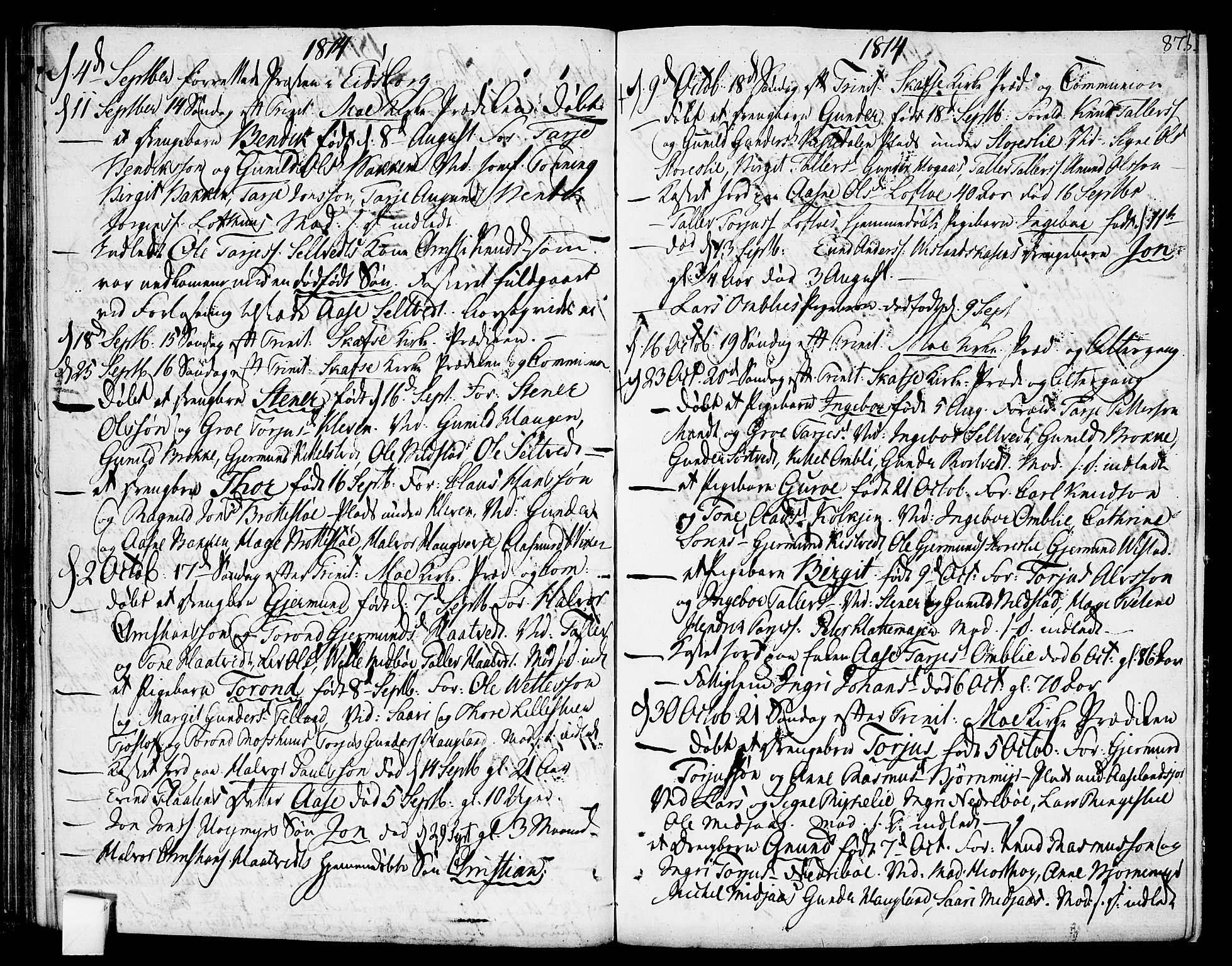 Mo kirkebøker, SAKO/A-286/F/Fa/L0003: Parish register (official) no. I 3, 1800-1814, p. 87