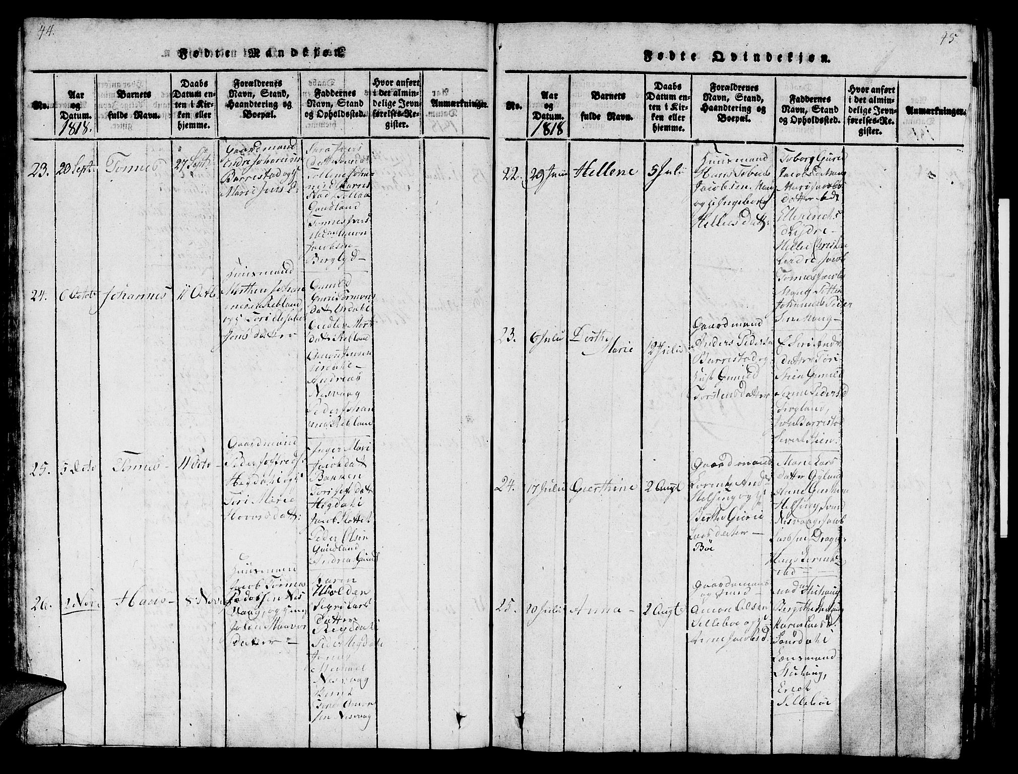 Sokndal sokneprestkontor, AV/SAST-A-101808: Parish register (official) no. A 6, 1815-1826, p. 44-45