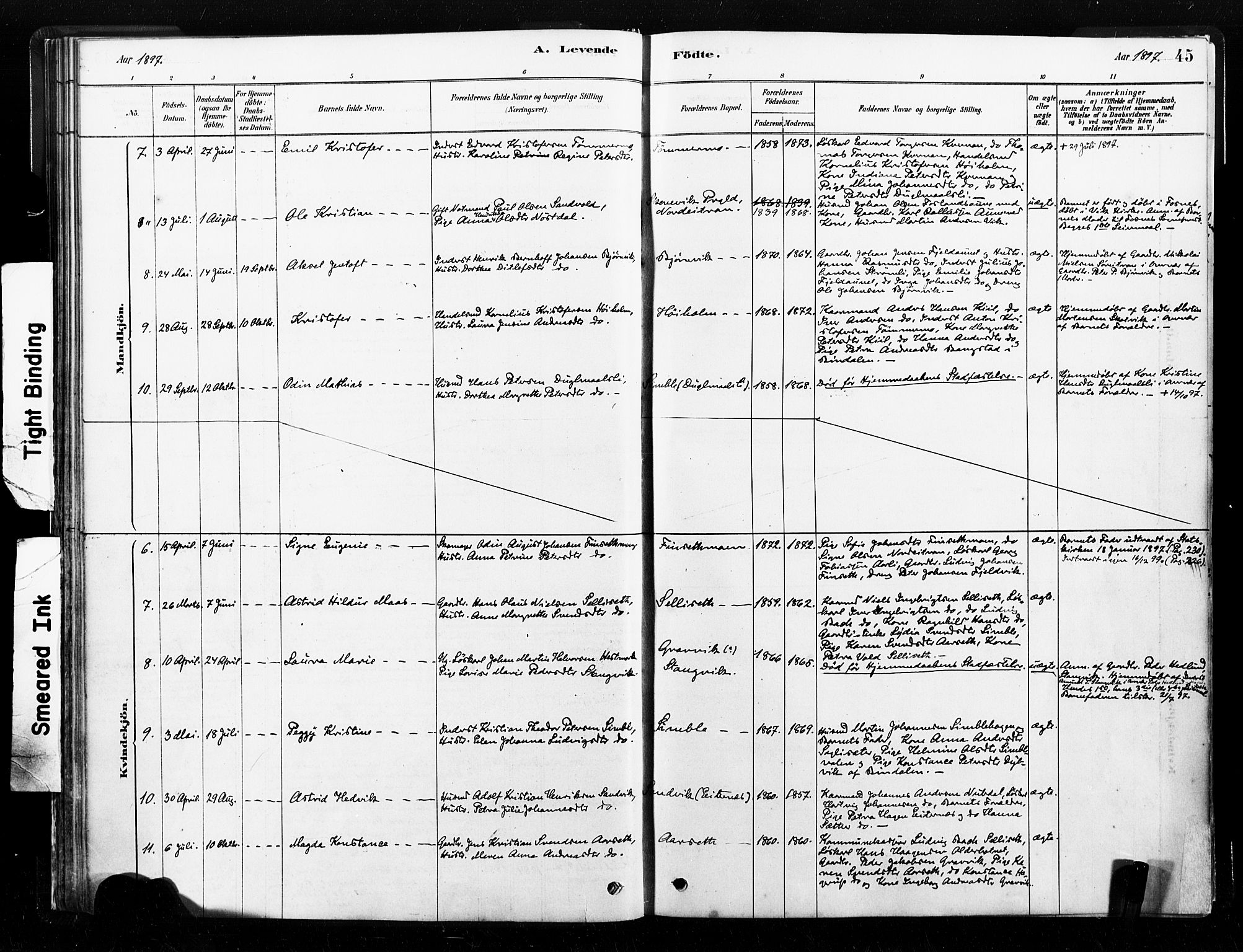 Ministerialprotokoller, klokkerbøker og fødselsregistre - Nord-Trøndelag, AV/SAT-A-1458/789/L0705: Parish register (official) no. 789A01, 1878-1910, p. 45