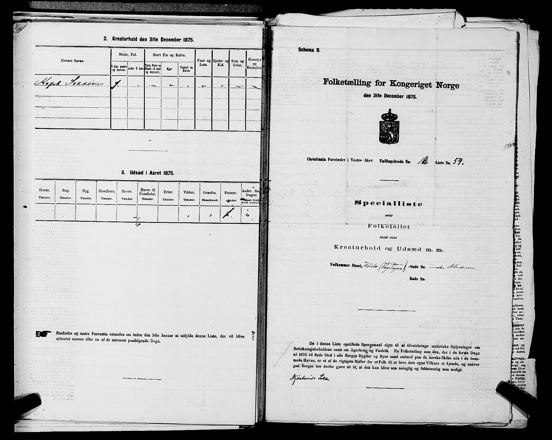 RA, 1875 census for 0218aP Vestre Aker, 1875, p. 2228