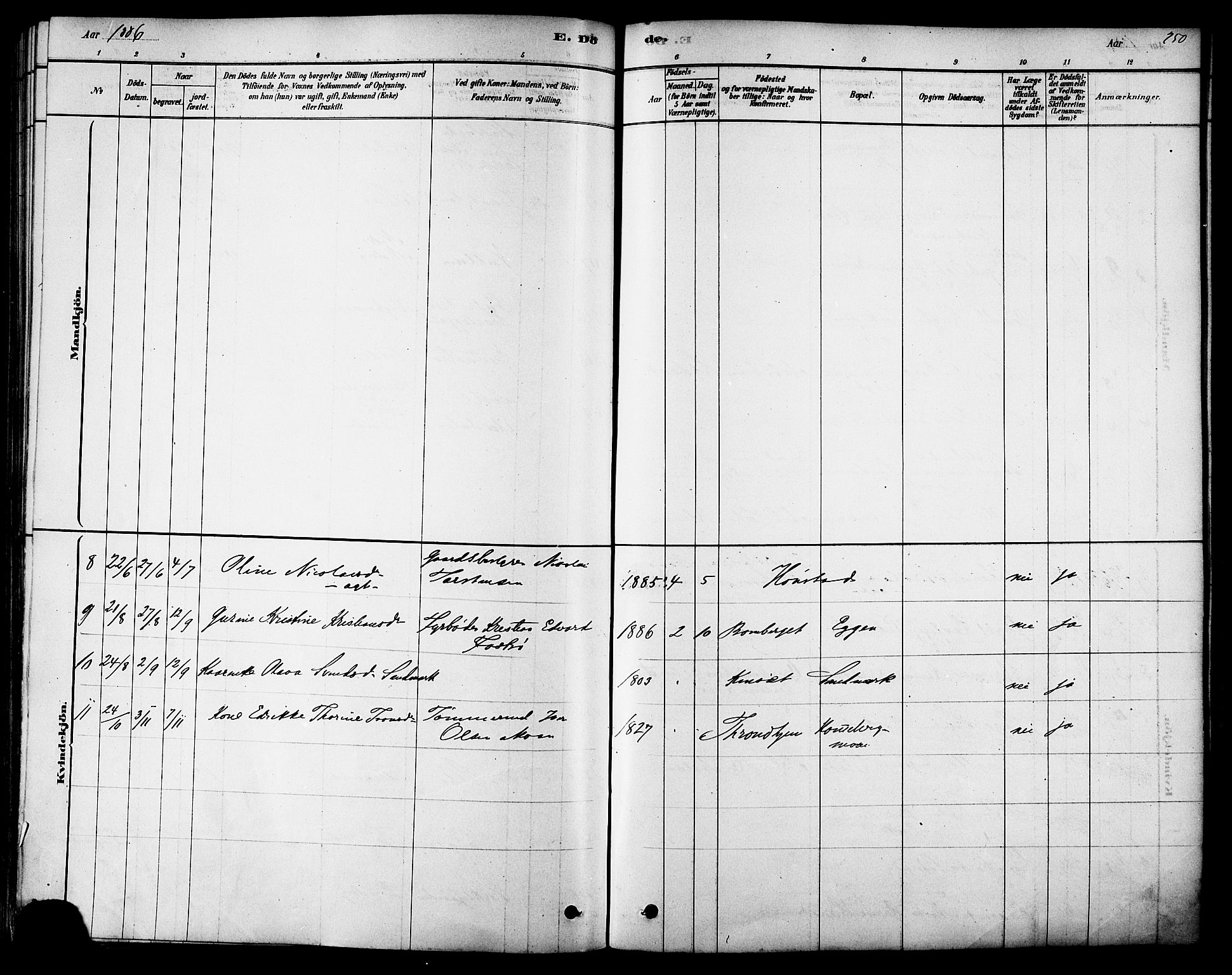 Ministerialprotokoller, klokkerbøker og fødselsregistre - Sør-Trøndelag, SAT/A-1456/616/L0410: Parish register (official) no. 616A07, 1878-1893, p. 250