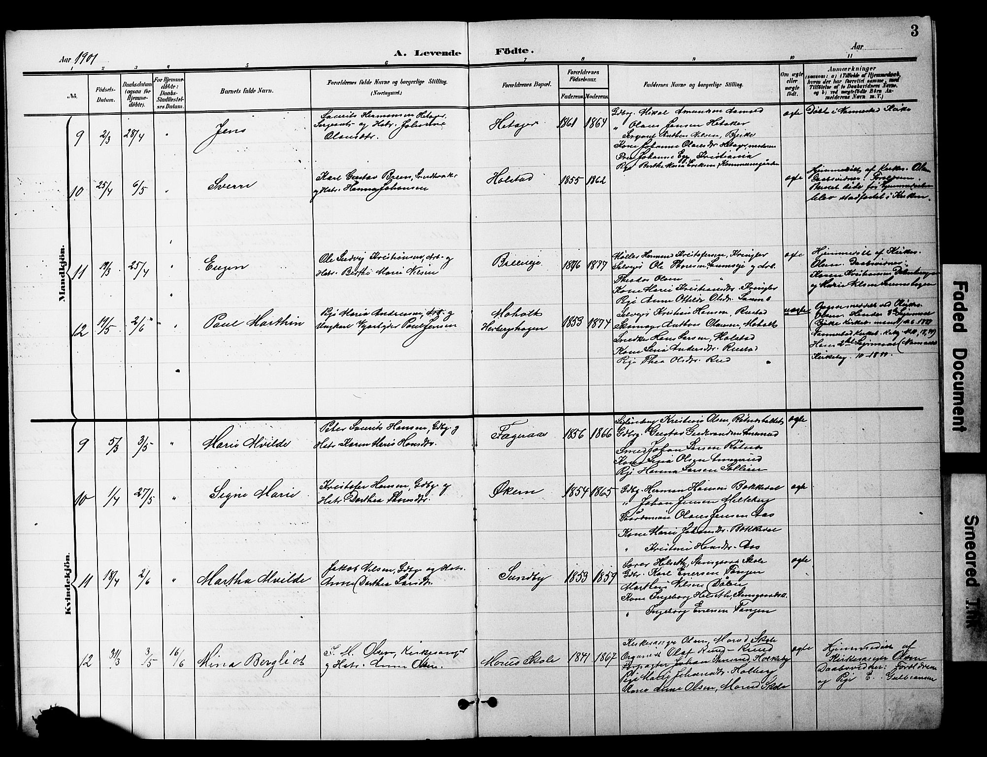 Nannestad prestekontor Kirkebøker, AV/SAO-A-10414a/G/Gc/L0001: Parish register (copy) no. III 1, 1901-1916, p. 3