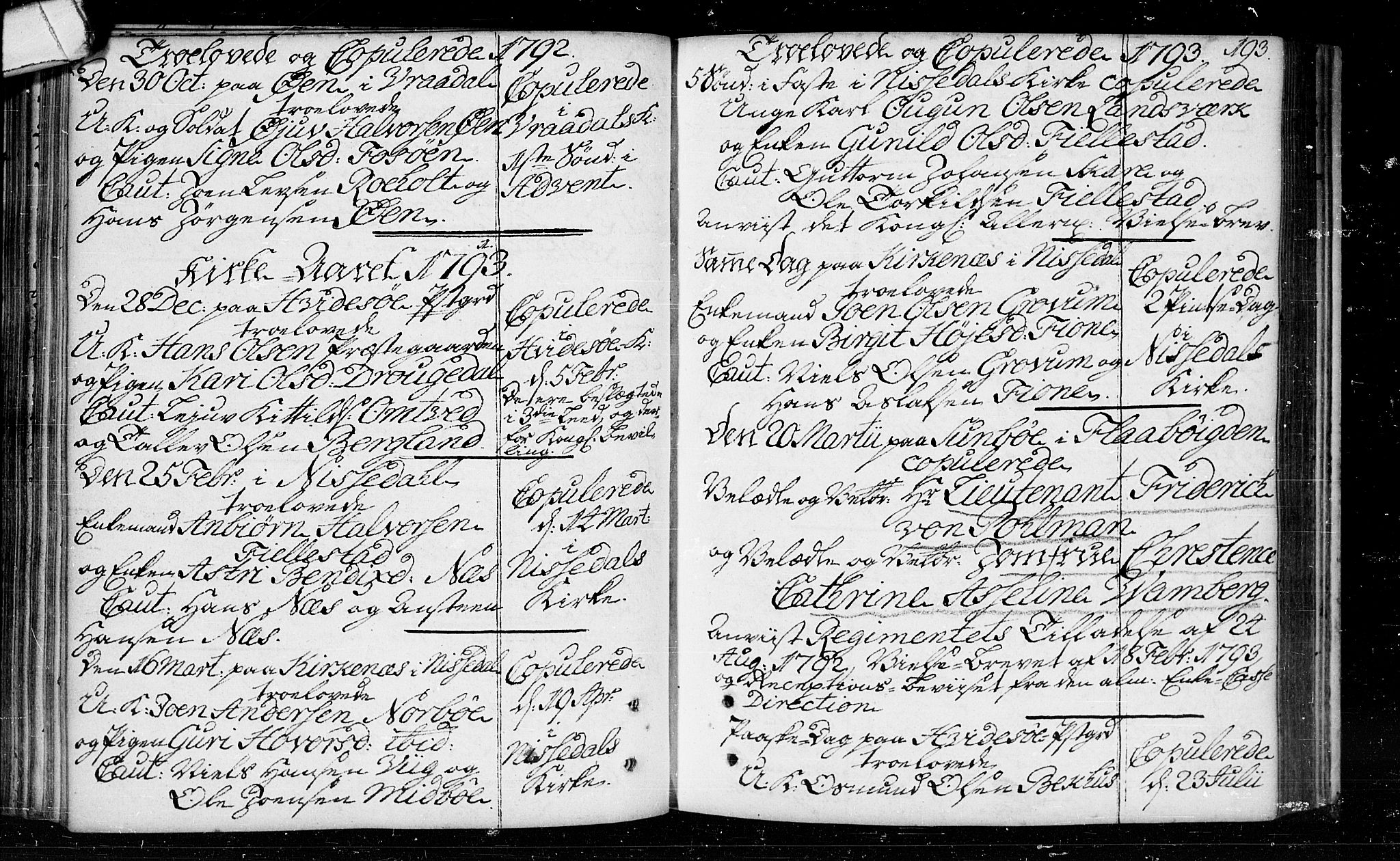 Kviteseid kirkebøker, SAKO/A-276/F/Fa/L0003: Parish register (official) no. I 3, 1787-1799, p. 193