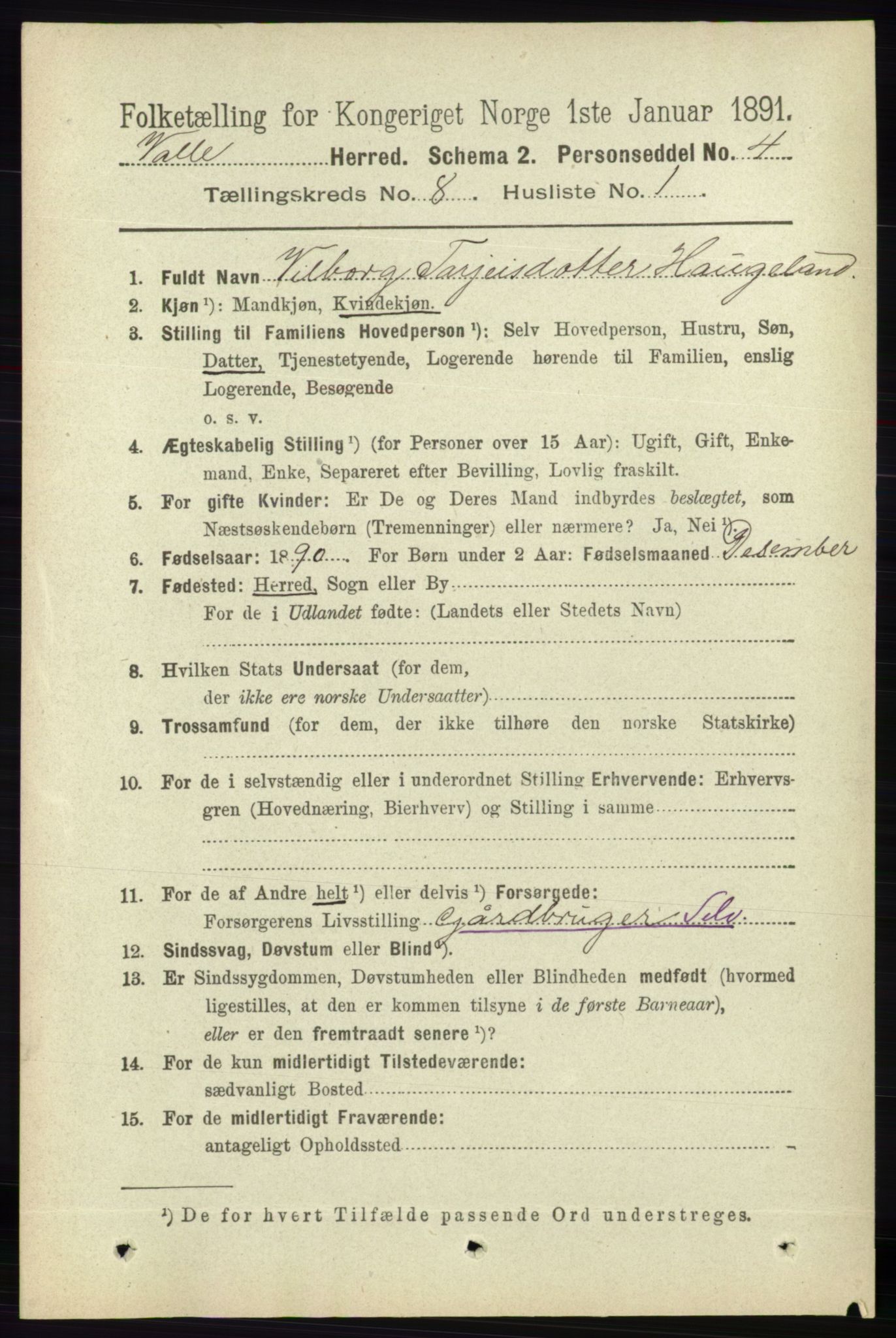 RA, 1891 census for 0940 Valle, 1891, p. 2240