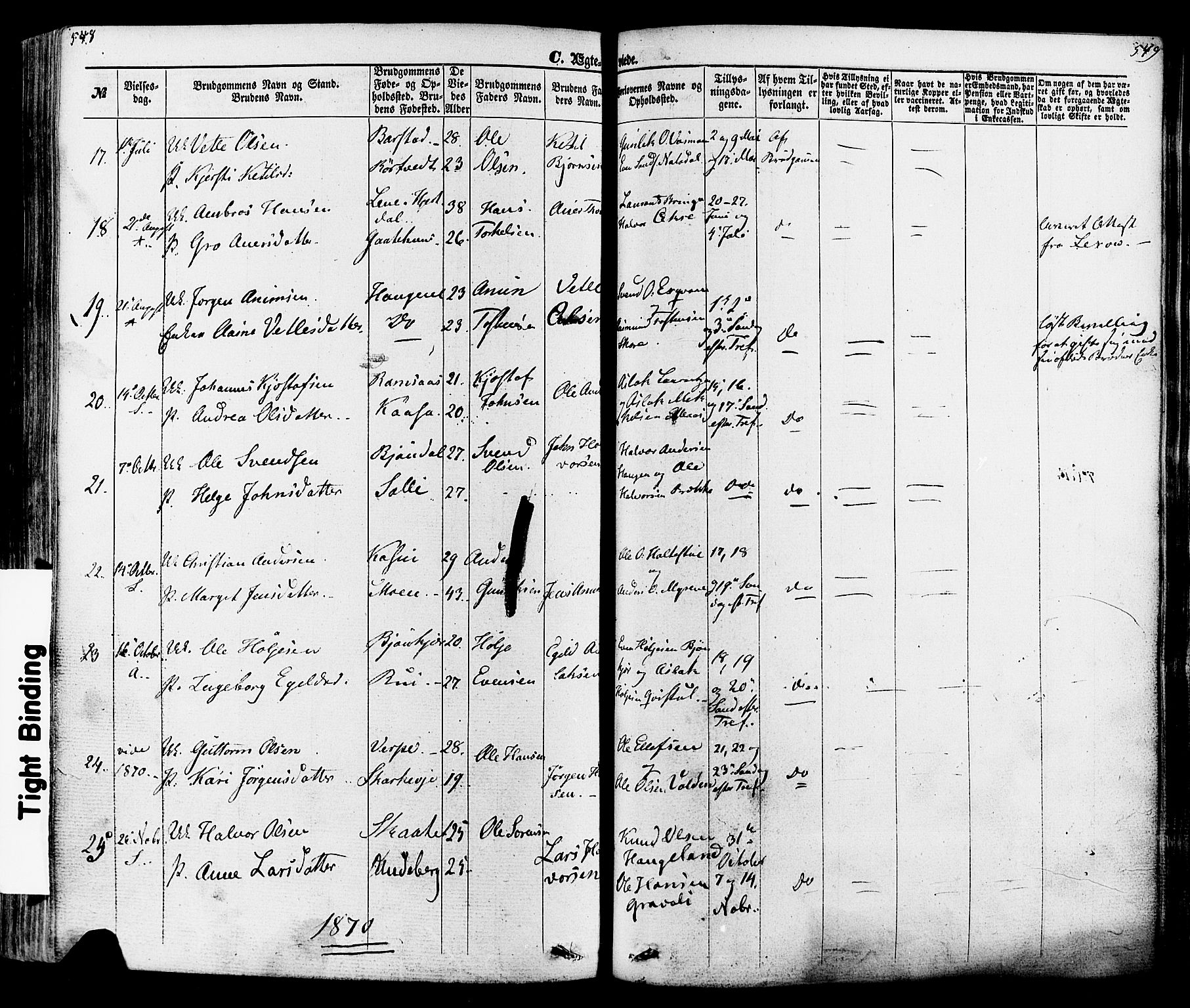 Seljord kirkebøker, SAKO/A-20/F/Fa/L0013: Parish register (official) no. I 13, 1866-1876, p. 548-549