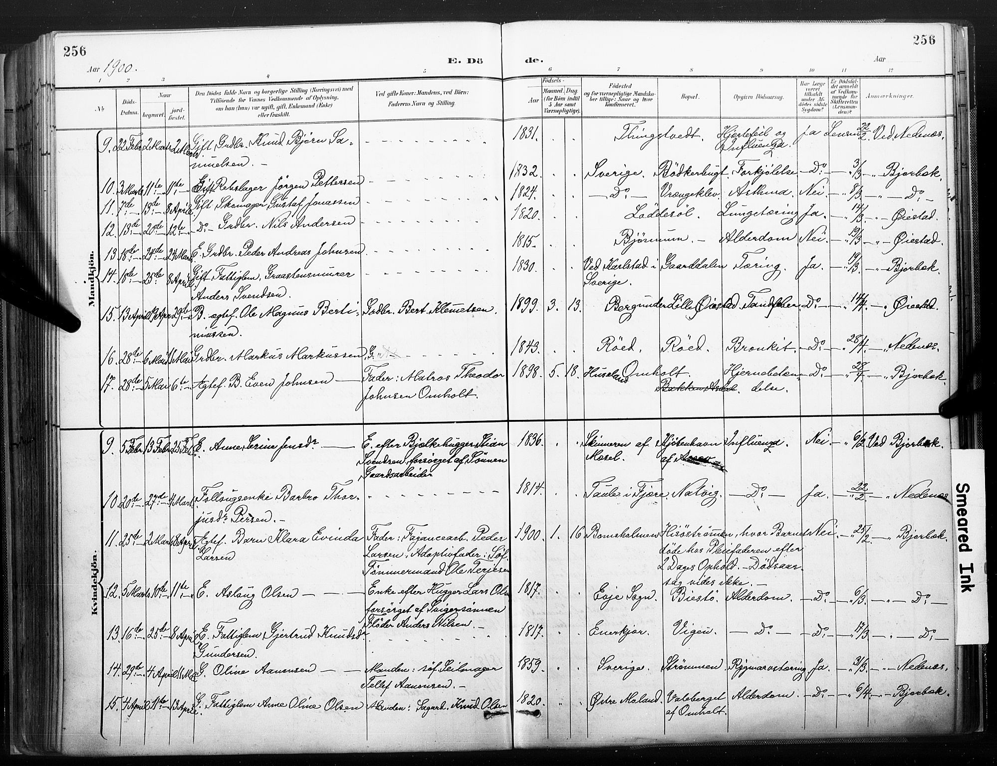 Øyestad sokneprestkontor, AV/SAK-1111-0049/F/Fa/L0018: Parish register (official) no. A 18, 1897-1907, p. 256