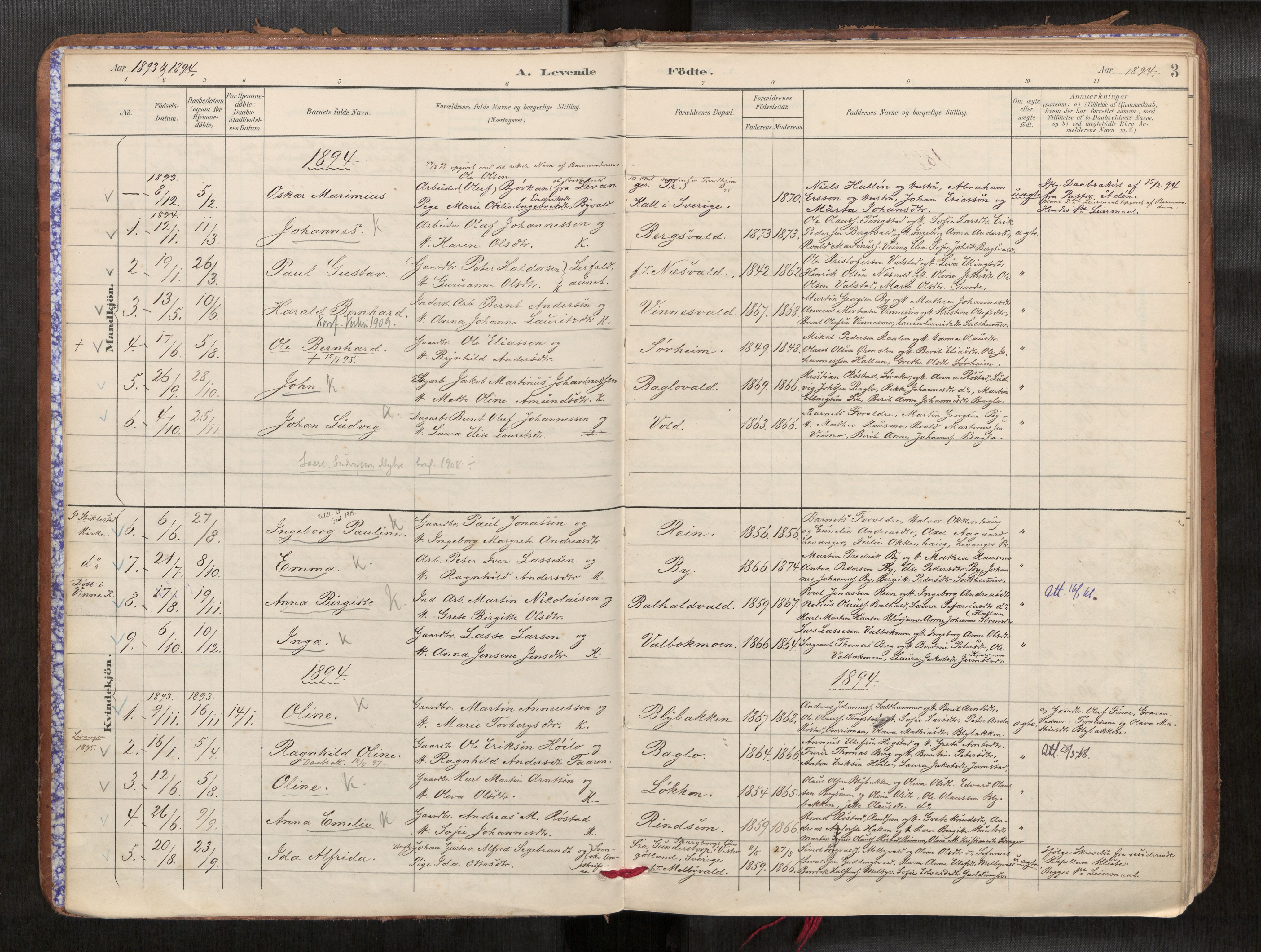 Verdal sokneprestkontor, SAT/A-1156/2/H/Haa/L0002: Parish register (official) no. 2, 1891-1907, p. 3