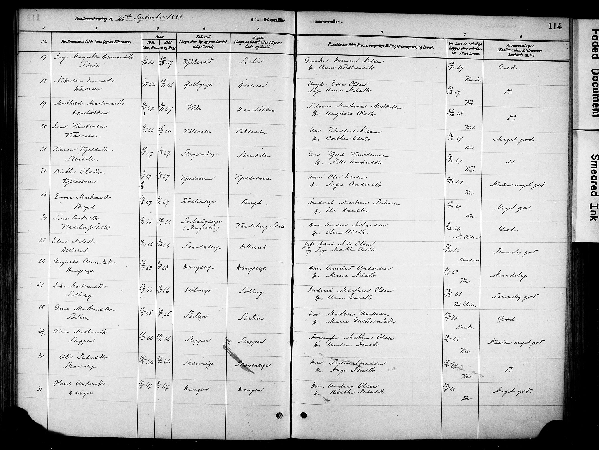 Stange prestekontor, AV/SAH-PREST-002/K/L0018: Parish register (official) no. 18, 1880-1896, p. 114