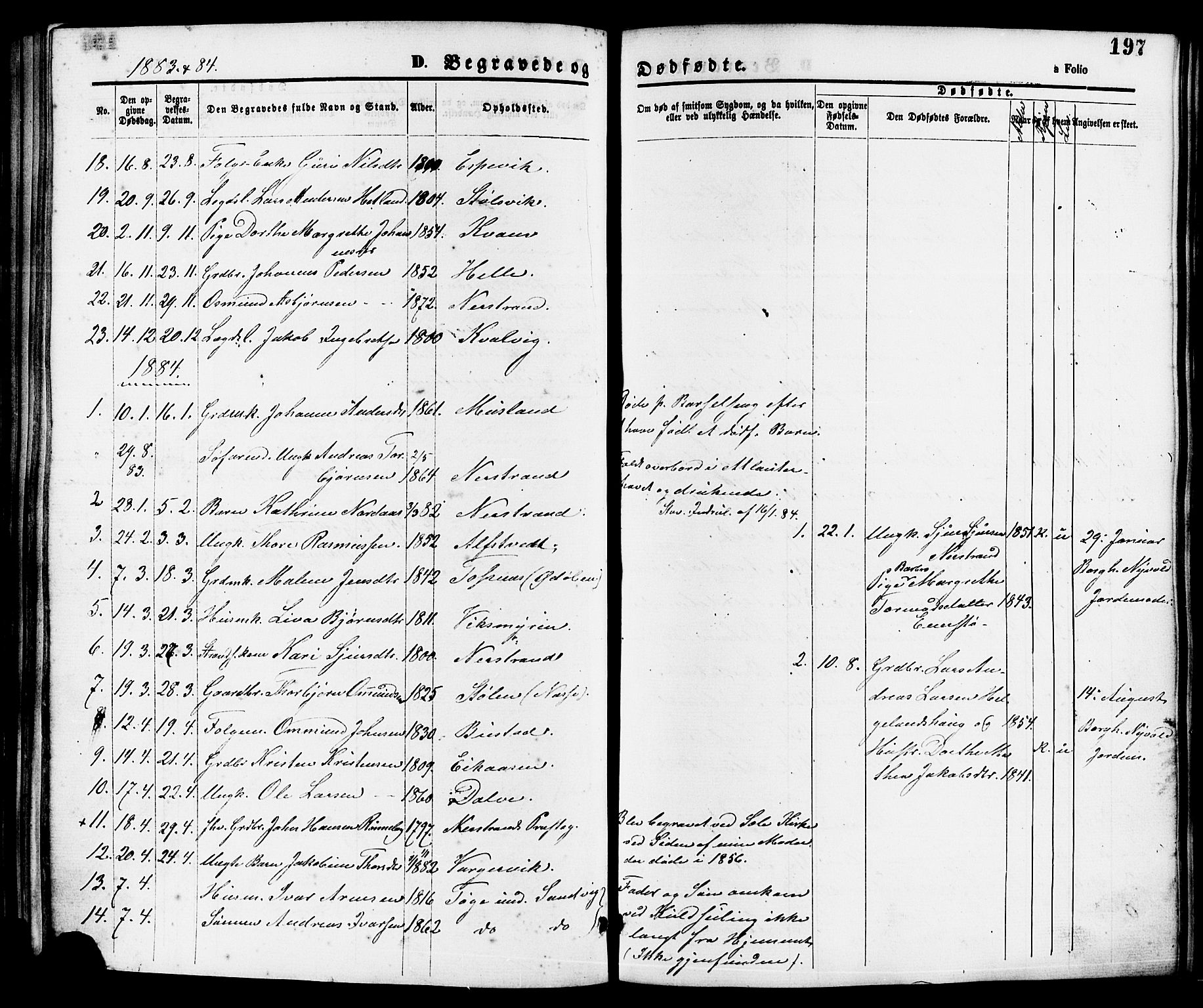 Nedstrand sokneprestkontor, SAST/A-101841/01/IV: Parish register (official) no. A 11, 1877-1887, p. 197