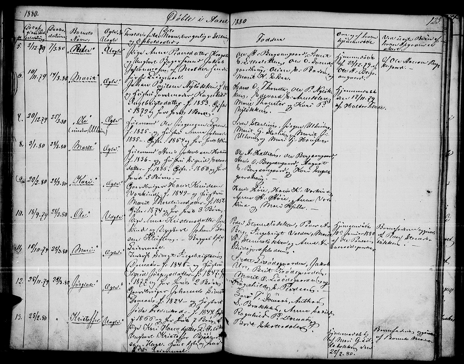 Dovre prestekontor, SAH/PREST-066/H/Ha/Hab/L0001: Parish register (copy) no. 1, 1862-1880, p. 123