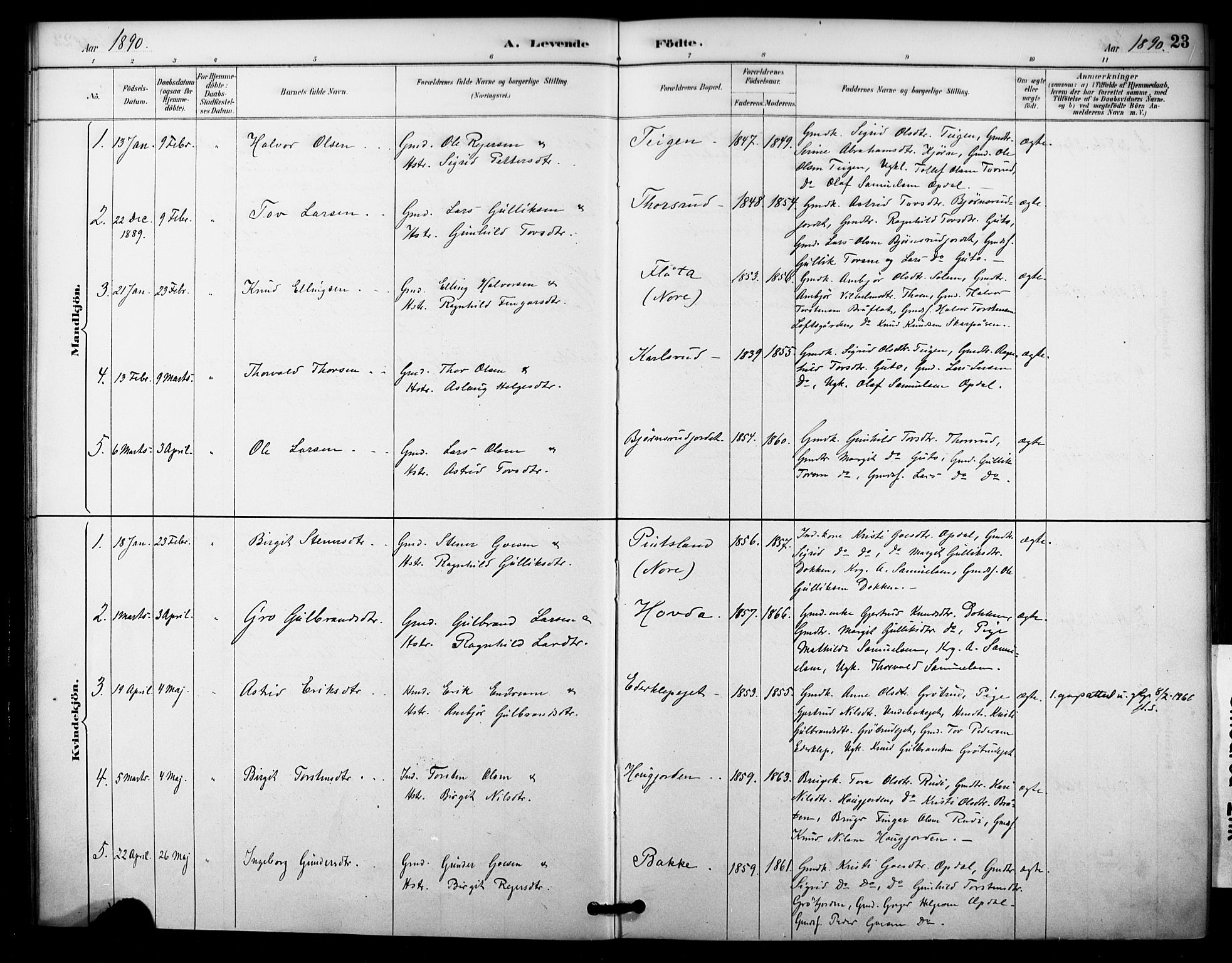 Nore kirkebøker, SAKO/A-238/F/Fc/L0004: Parish register (official) no. III 4, 1885-1898, p. 23