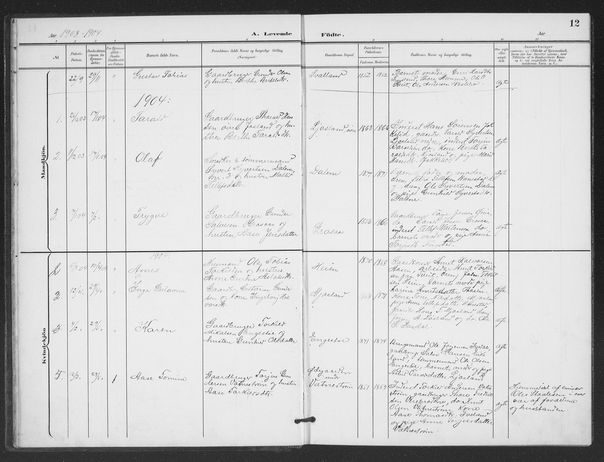 Evje sokneprestkontor, SAK/1111-0008/F/Fb/Fbc/L0005: Parish register (copy) no. B 5, 1901-1935, p. 12