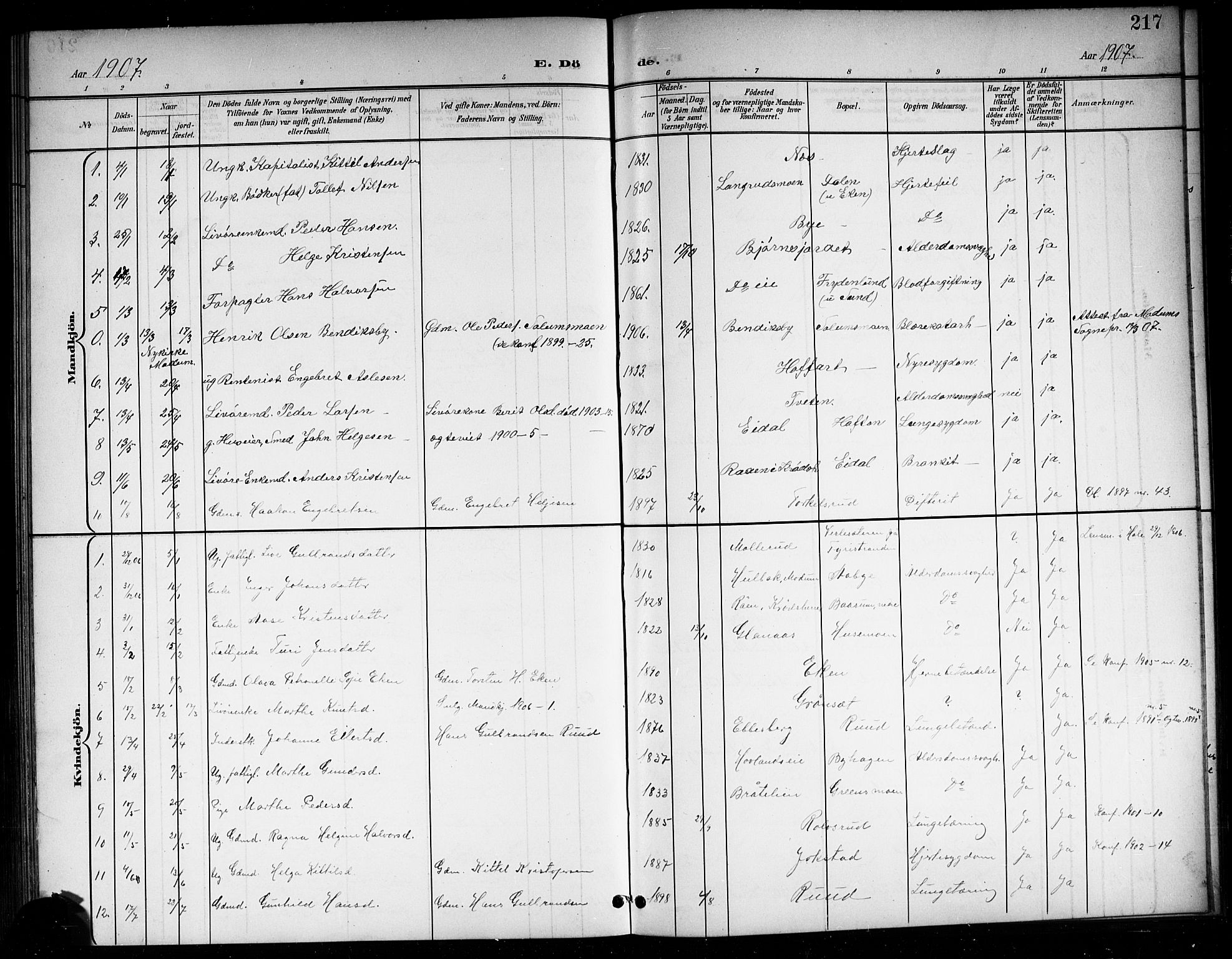 Sigdal kirkebøker, SAKO/A-245/G/Ga/L0006: Parish register (copy) no. I 6, 1901-1916, p. 217