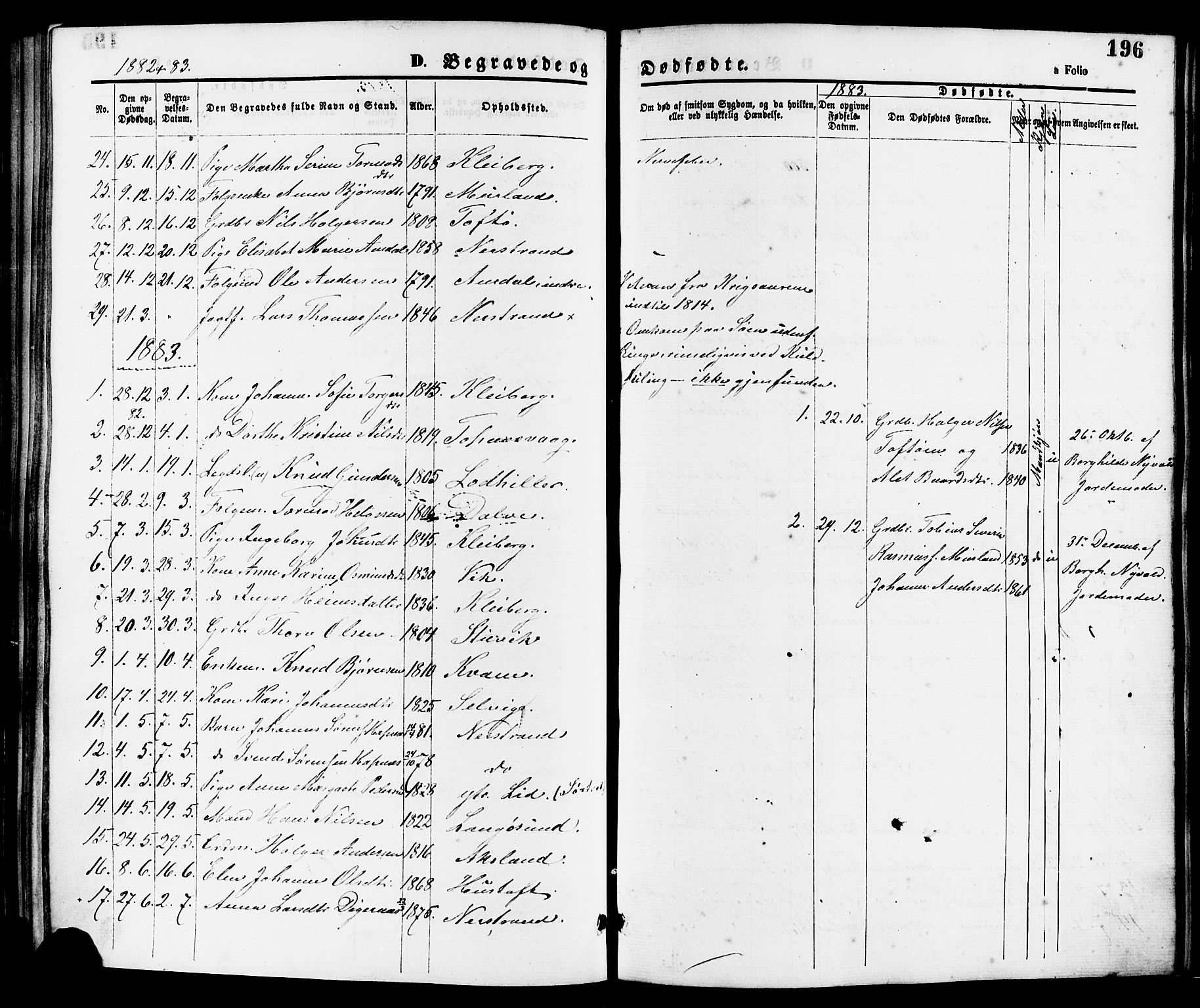 Nedstrand sokneprestkontor, SAST/A-101841/01/IV: Parish register (official) no. A 11, 1877-1887, p. 196