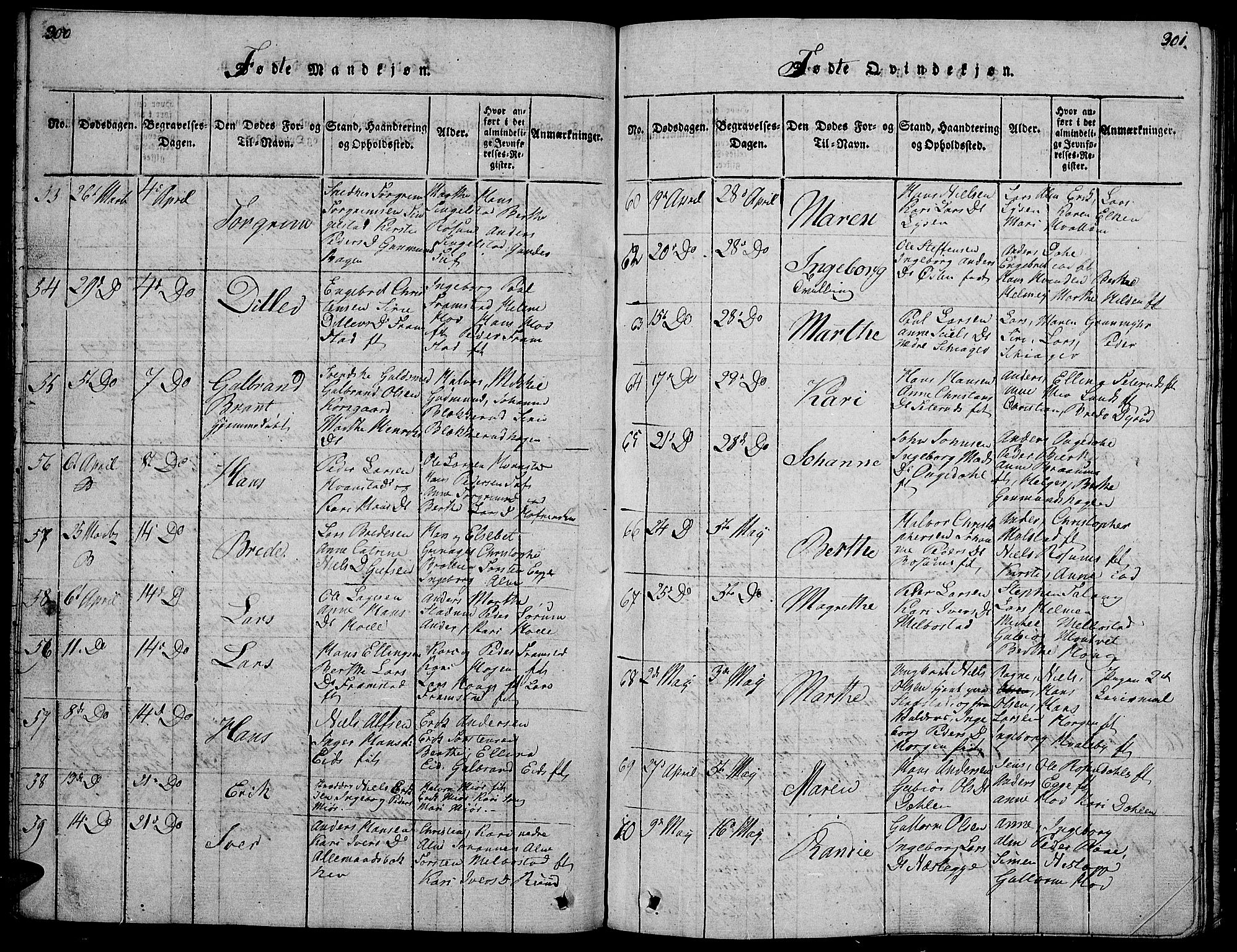 Gran prestekontor, AV/SAH-PREST-112/H/Ha/Hab/L0001: Parish register (copy) no. 1, 1815-1824, p. 300-301