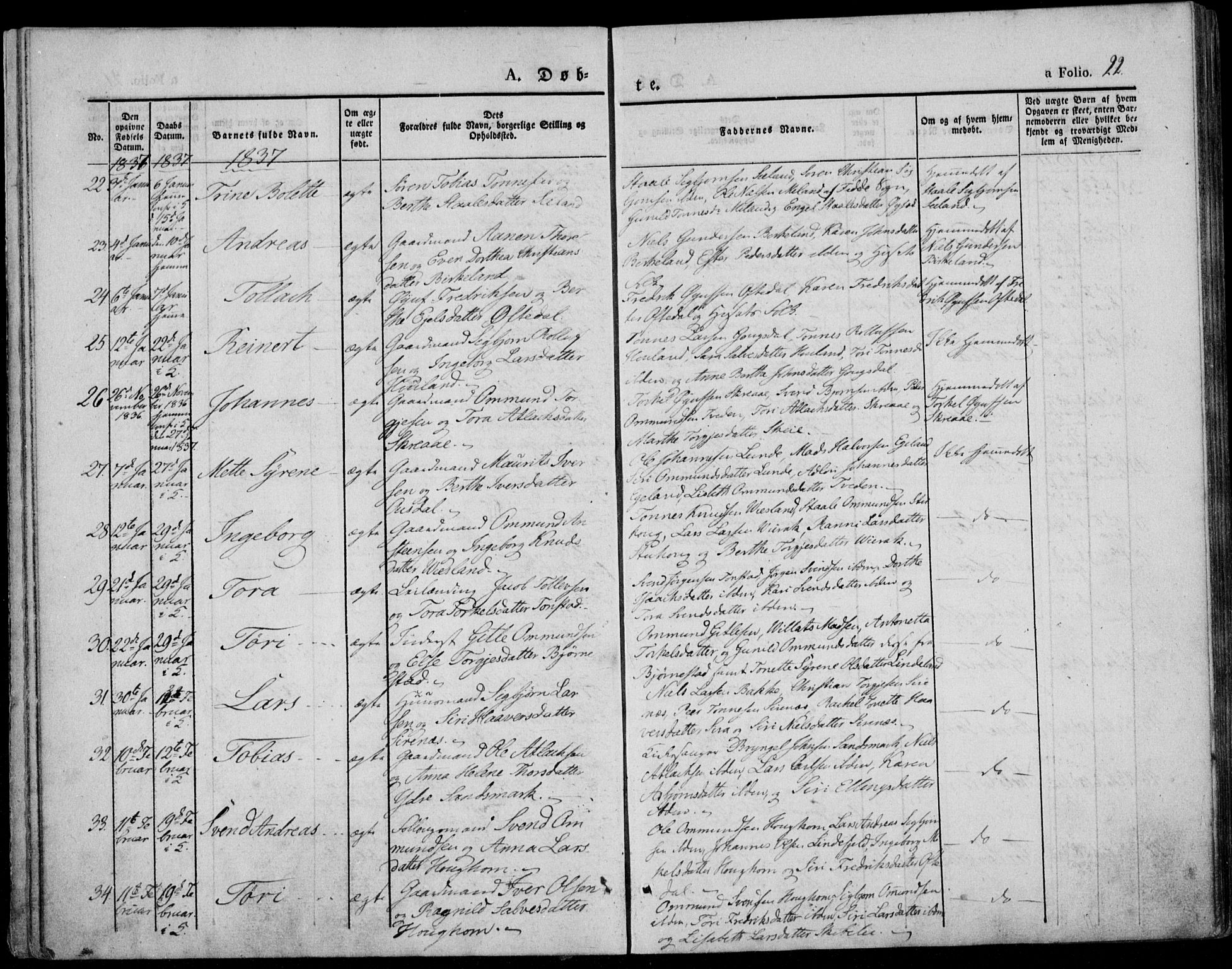 Bakke sokneprestkontor, AV/SAK-1111-0002/F/Fa/Faa/L0004: Parish register (official) no. A 4, 1834-1846, p. 22