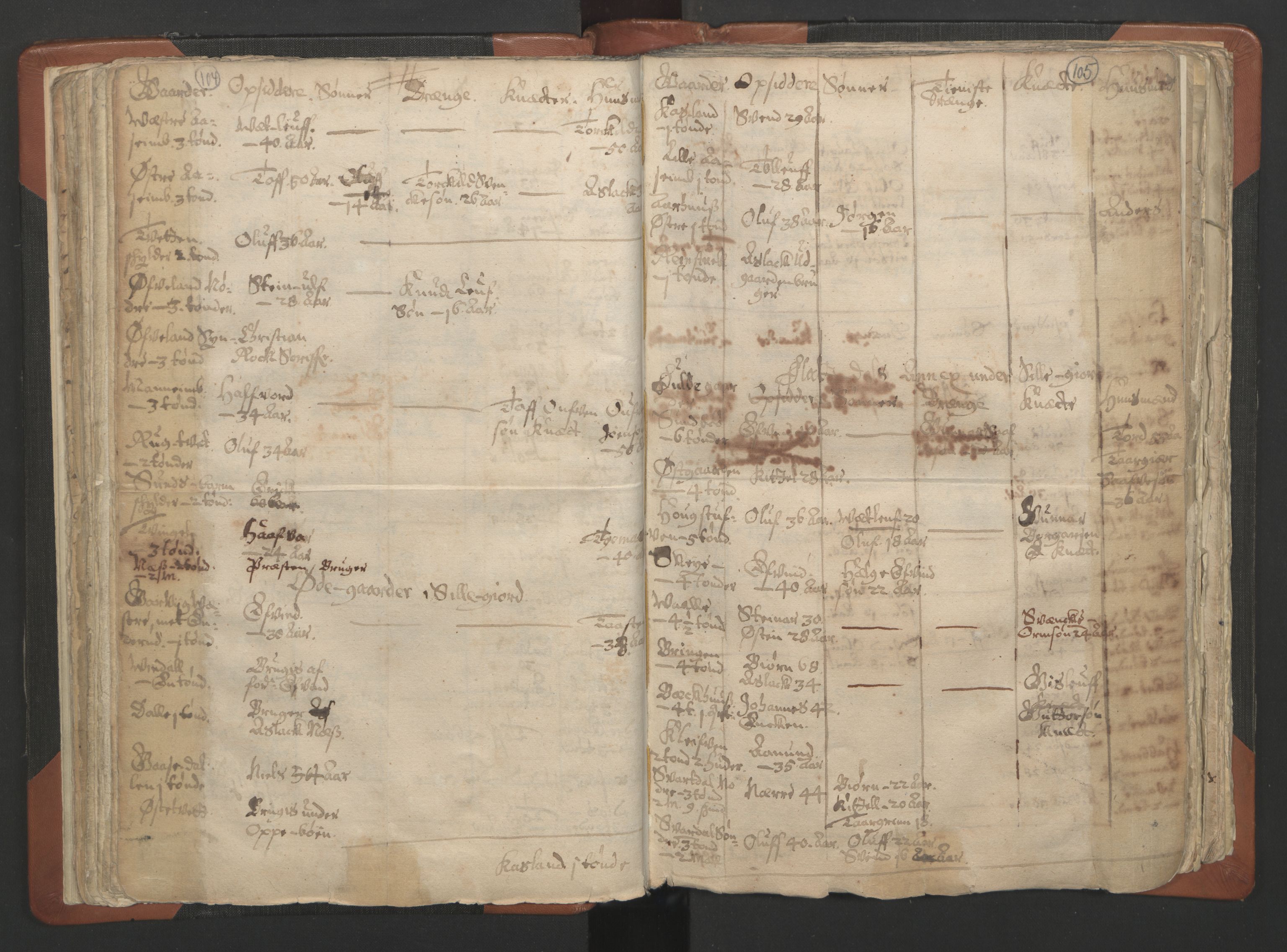 RA, Vicar's Census 1664-1666, no. 12: Øvre Telemark deanery, Nedre Telemark deanery and Bamble deanery, 1664-1666, p. 104-105