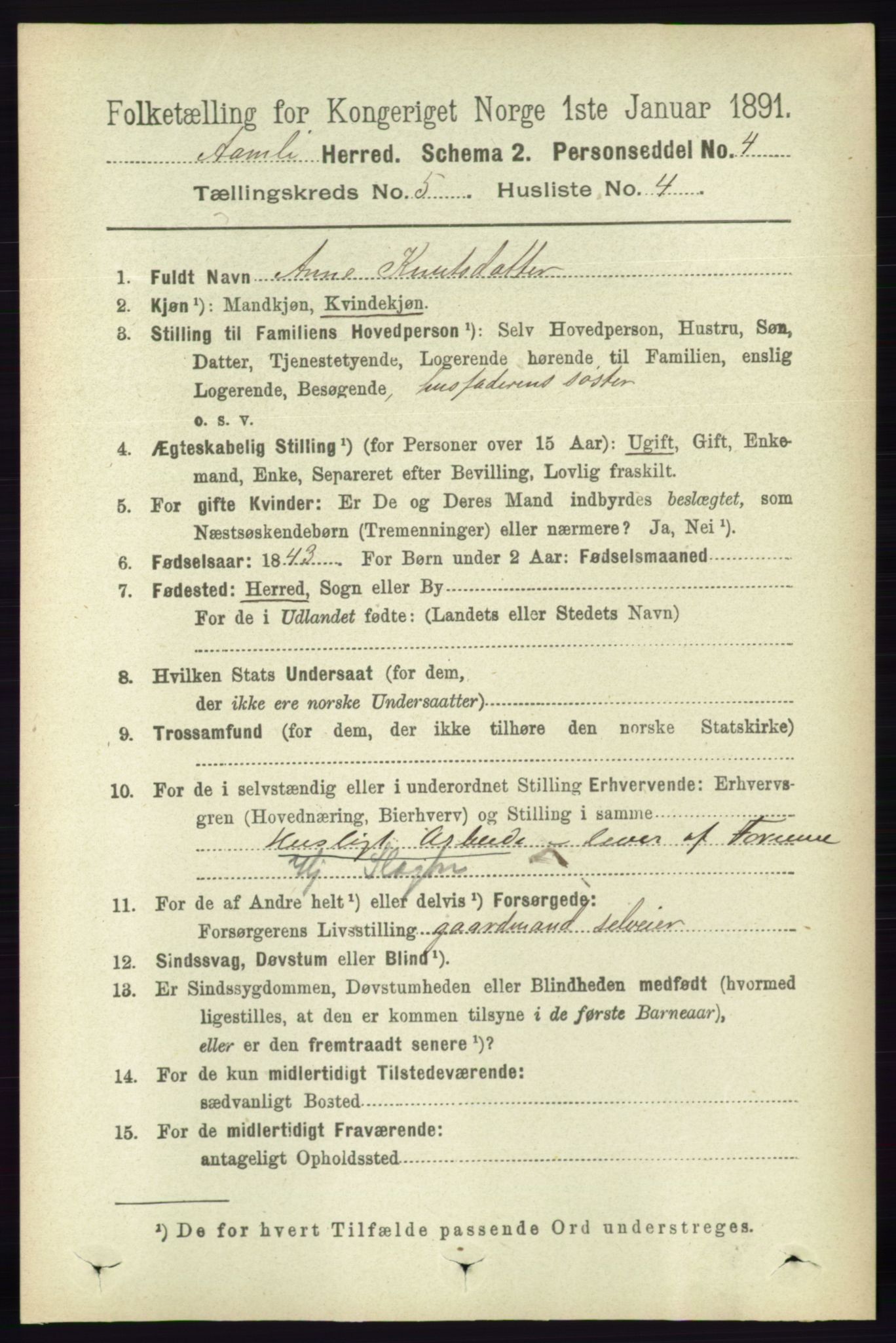 RA, 1891 census for 0929 Åmli, 1891, p. 706