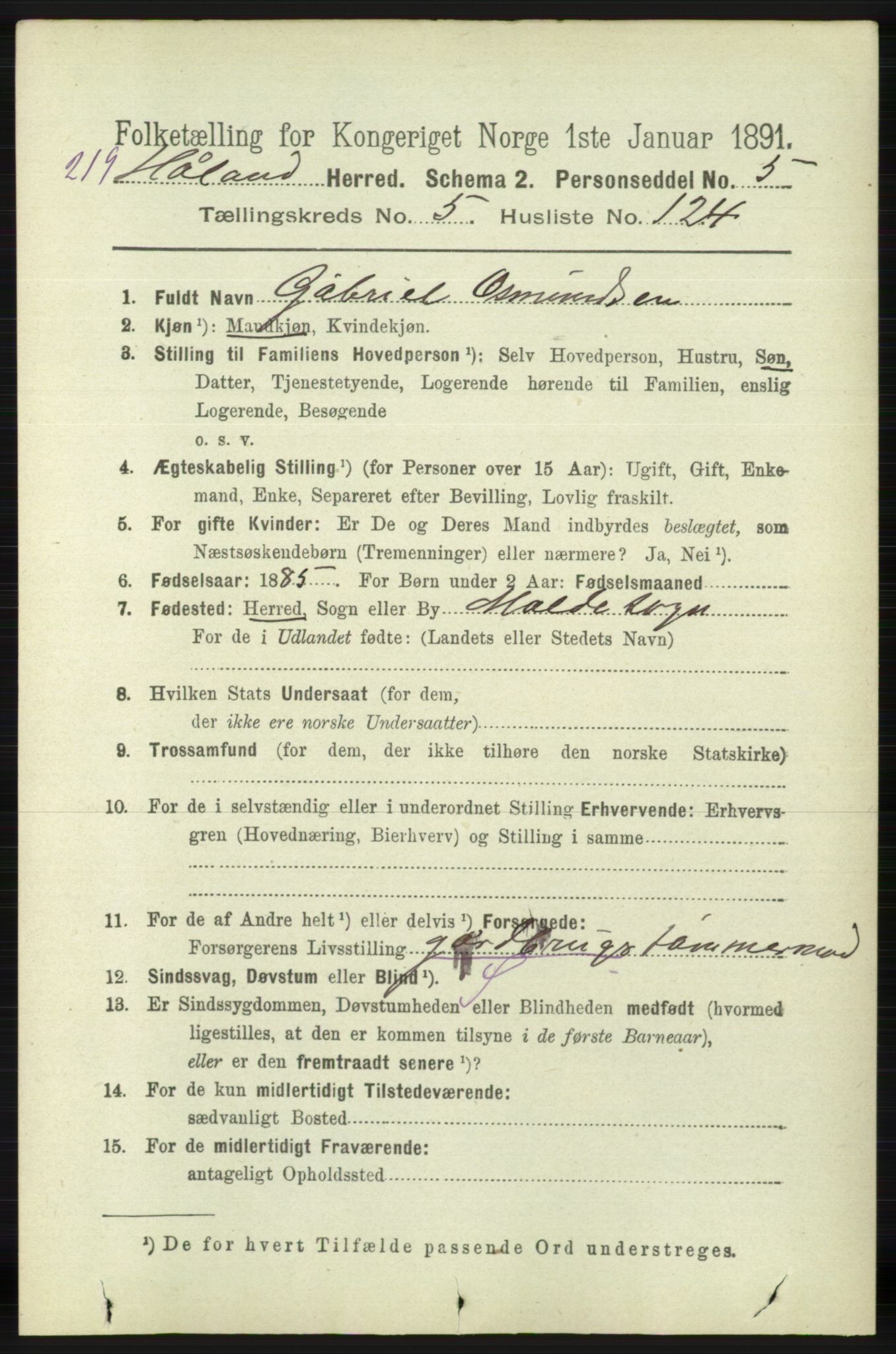 RA, 1891 census for 1124 Haaland, 1891, p. 4044