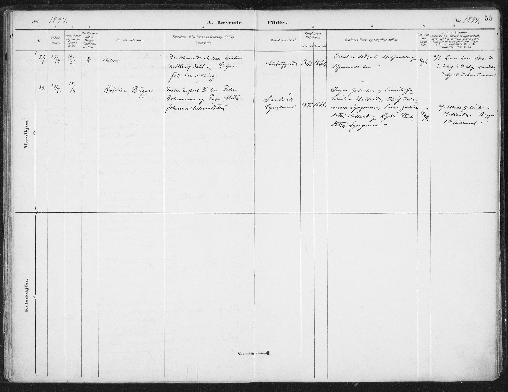 Ministerialprotokoller, klokkerbøker og fødselsregistre - Nord-Trøndelag, SAT/A-1458/786/L0687: Parish register (official) no. 786A03, 1888-1898, p. 55