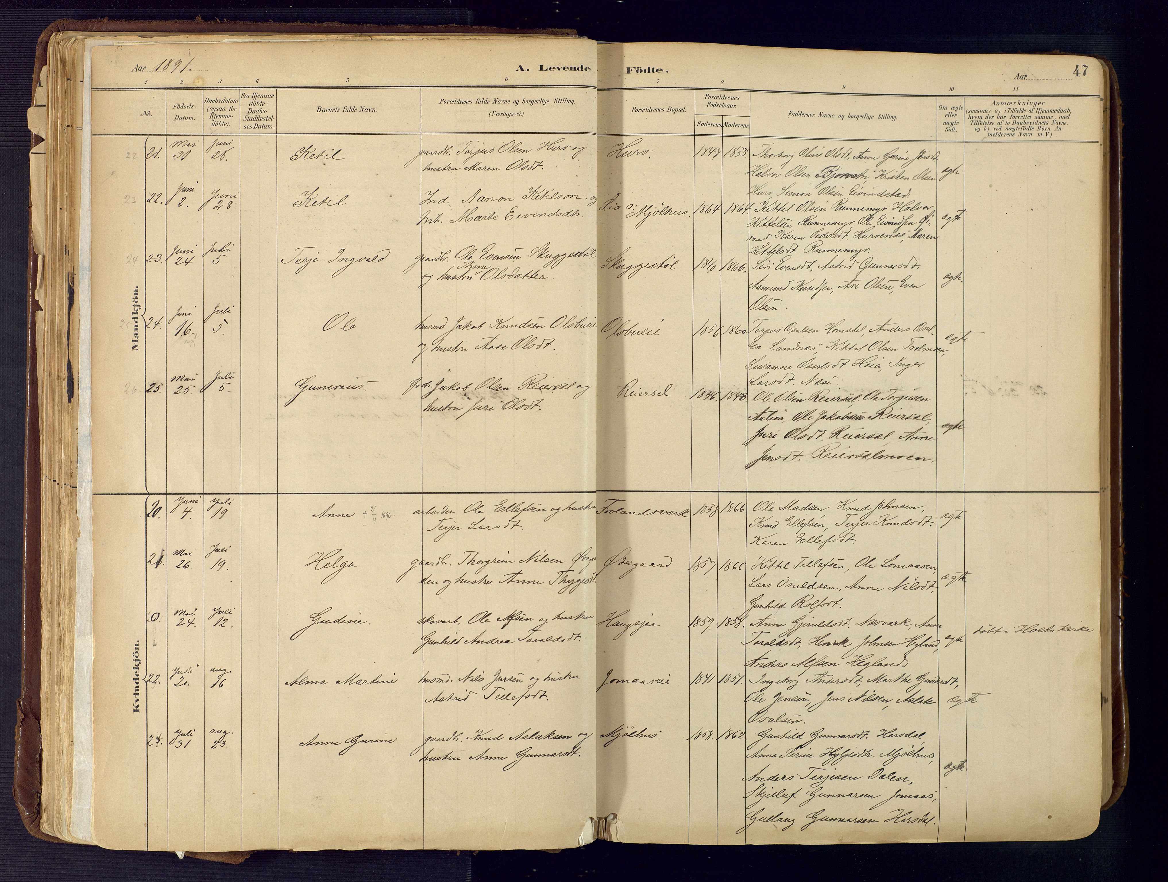 Froland sokneprestkontor, AV/SAK-1111-0013/F/Fa/L0005: Parish register (official) no. A 5, 1882-1921, p. 47