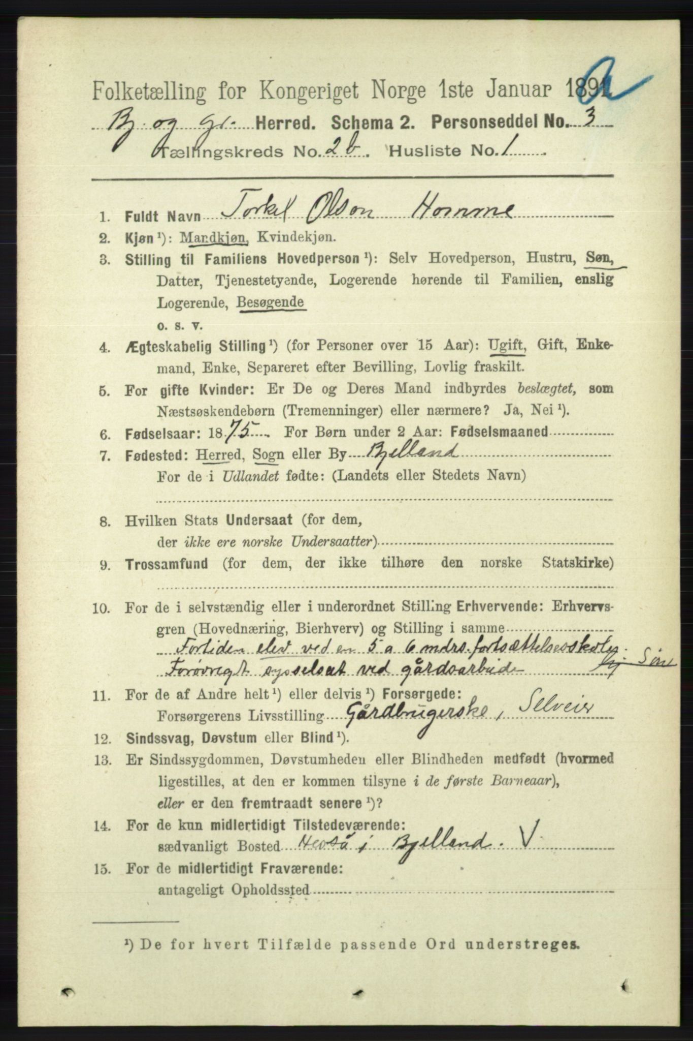 RA, 1891 census for 1024 Bjelland og Grindheim, 1891, p. 1131