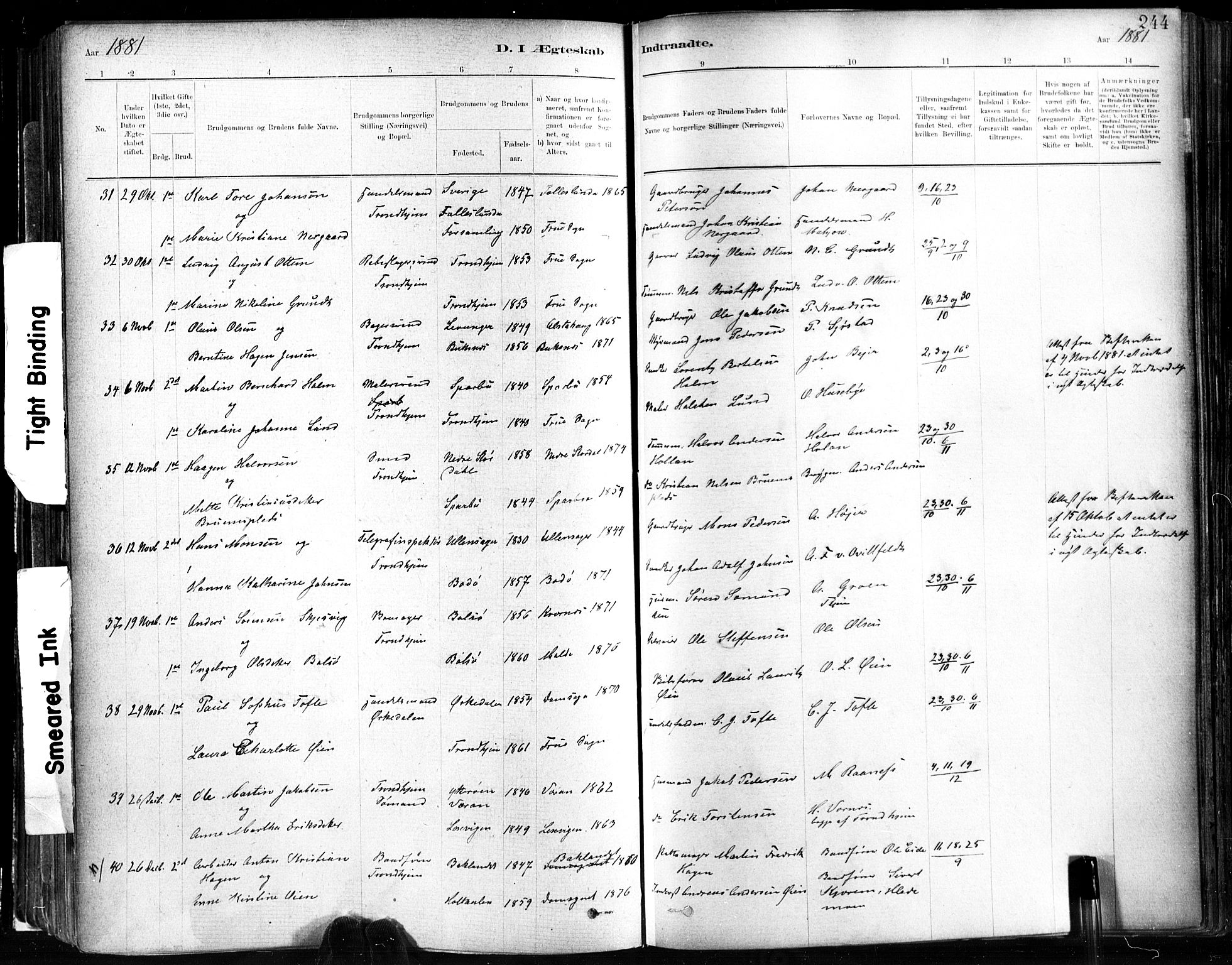 Ministerialprotokoller, klokkerbøker og fødselsregistre - Sør-Trøndelag, SAT/A-1456/602/L0119: Parish register (official) no. 602A17, 1880-1901, p. 244