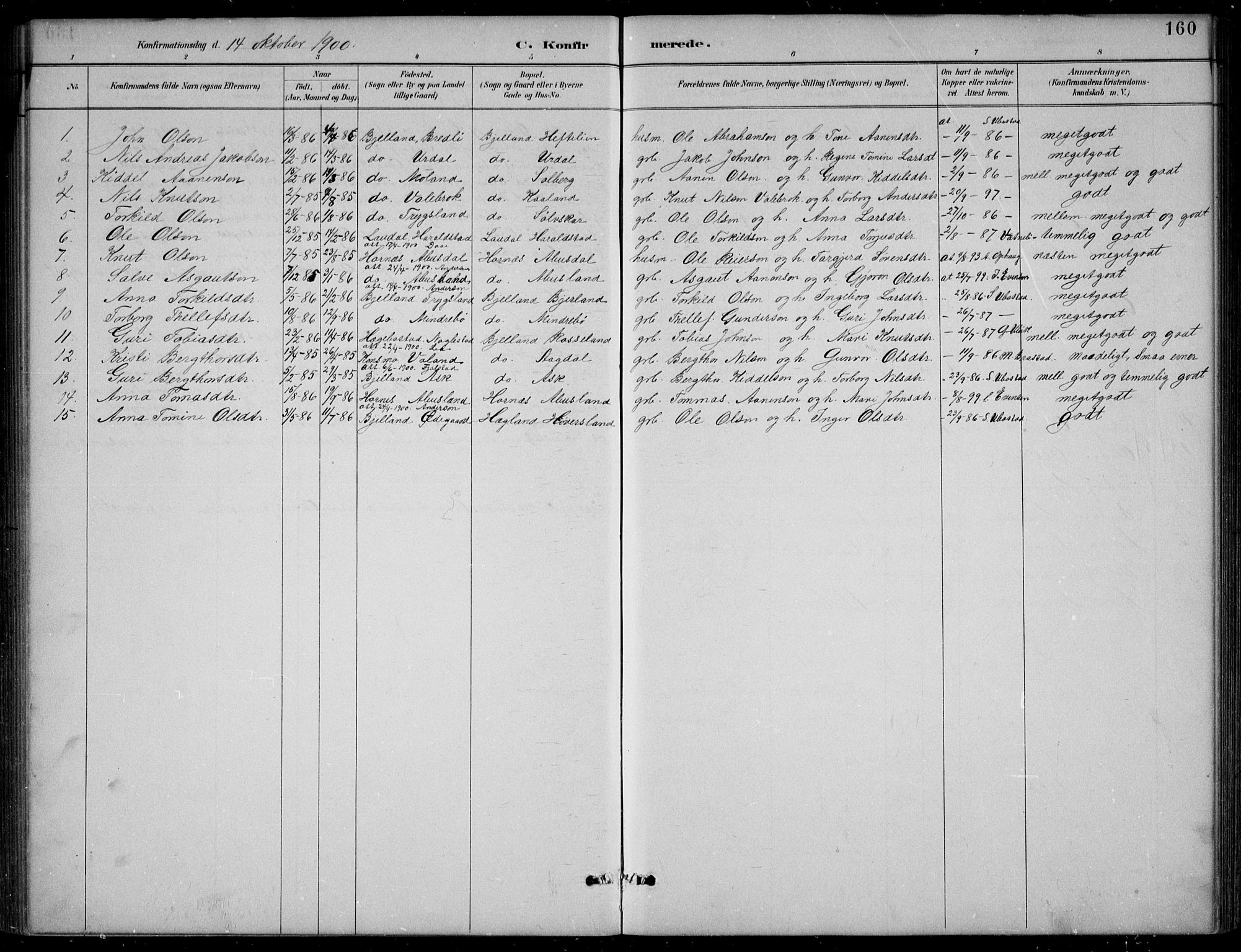 Bjelland sokneprestkontor, SAK/1111-0005/F/Fb/Fba/L0005: Parish register (copy) no. B 5, 1887-1923, p. 160