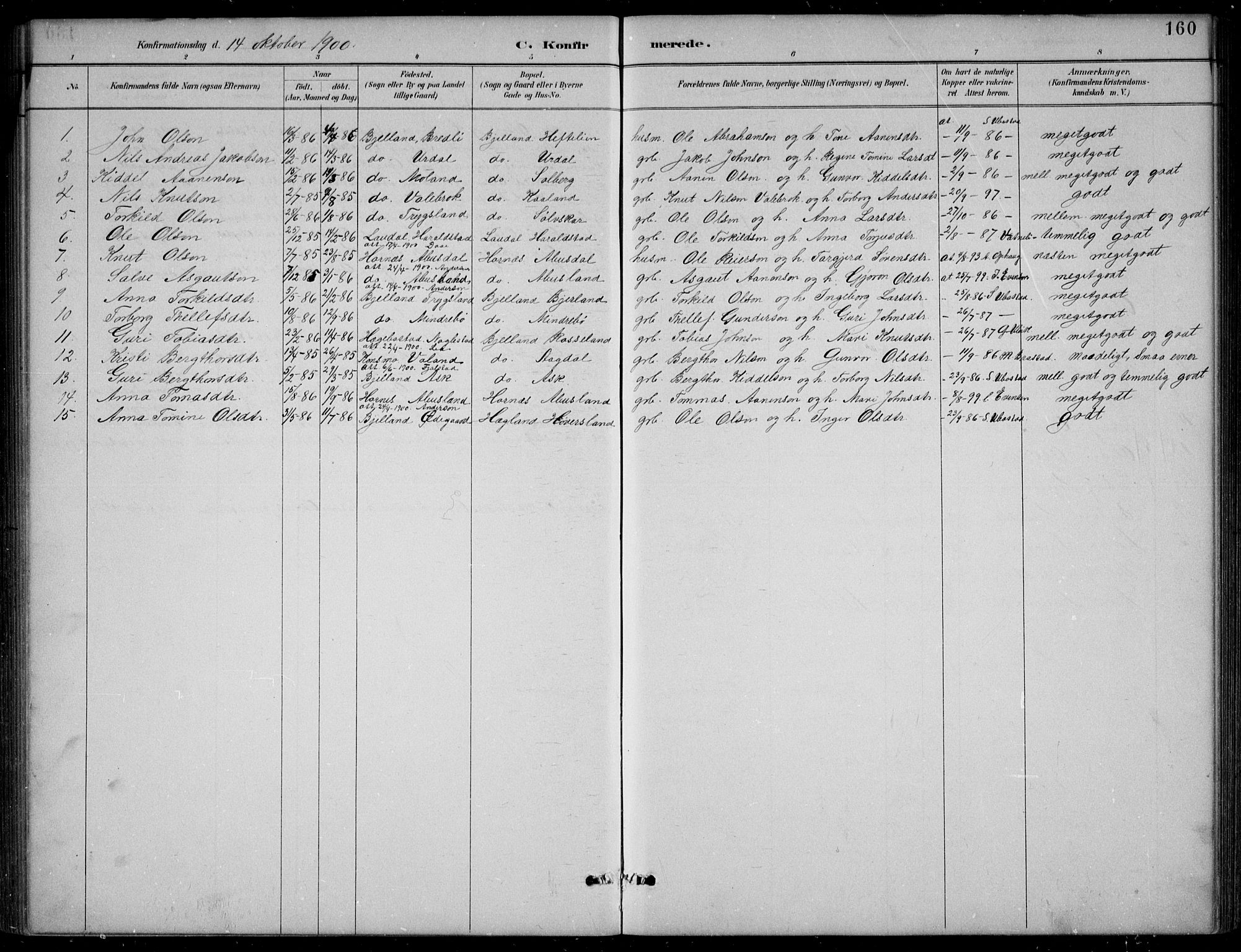 Bjelland sokneprestkontor, AV/SAK-1111-0005/F/Fb/Fba/L0005: Parish register (copy) no. B 5, 1887-1923, p. 160