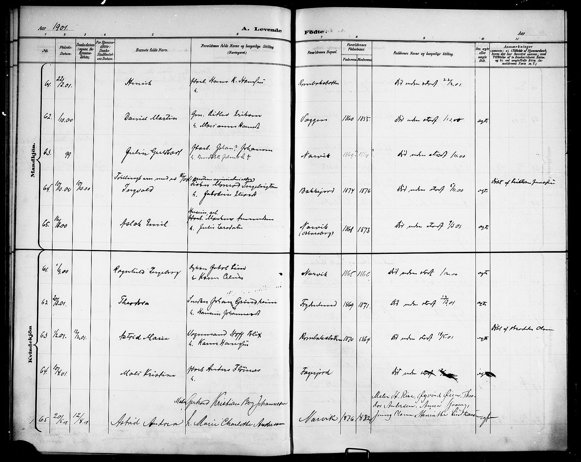 Ministerialprotokoller, klokkerbøker og fødselsregistre - Nordland, AV/SAT-A-1459/866/L0953: Parish register (copy) no. 866C02, 1900-1905