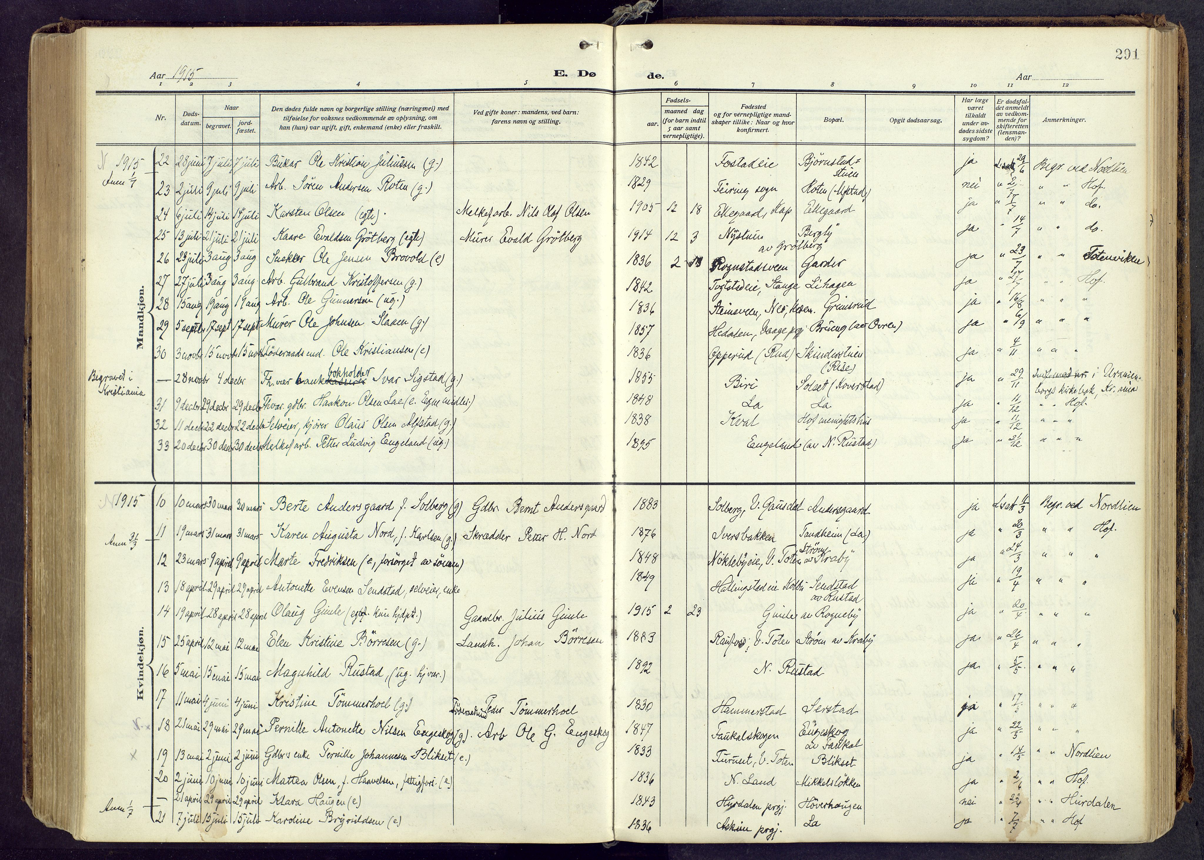 Østre Toten prestekontor, AV/SAH-PREST-104/H/Ha/Haa/L0010: Parish register (official) no. 10, 1910-1920, p. 291