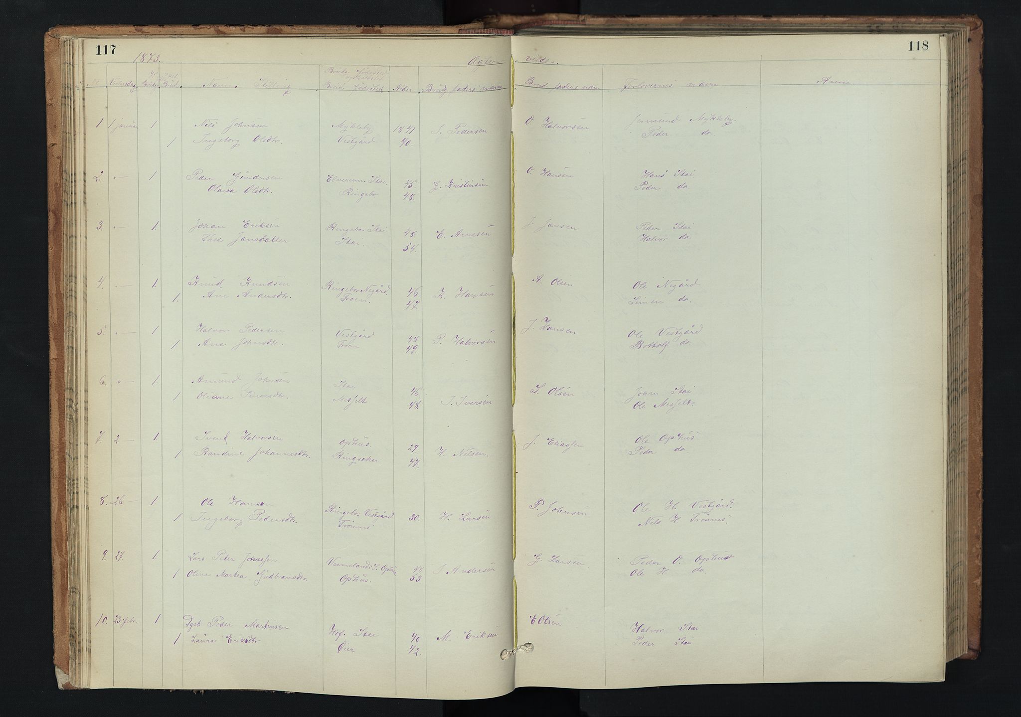 Stor-Elvdal prestekontor, AV/SAH-PREST-052/H/Ha/Hab/L0002: Parish register (copy) no. 2, 1860-1894, p. 117-118